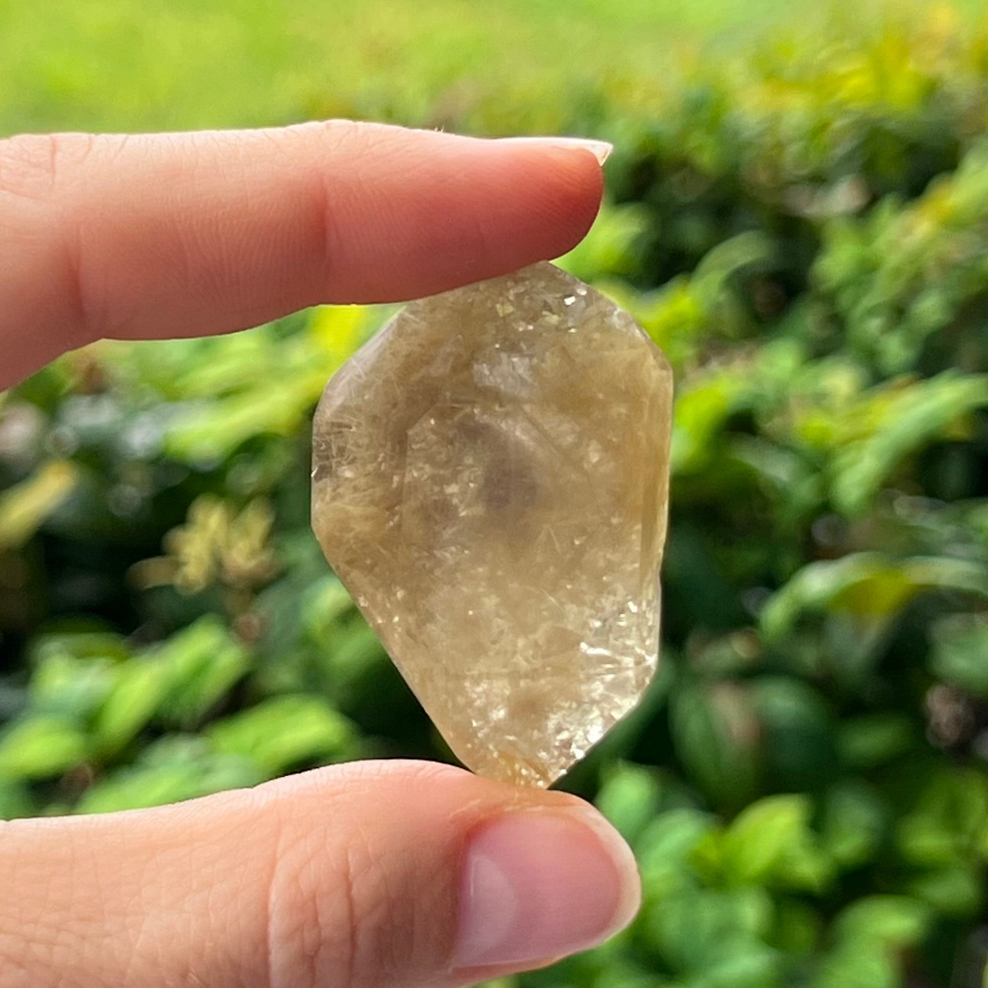 Rutilated Quartz ~ Specialty Boxed Crystal