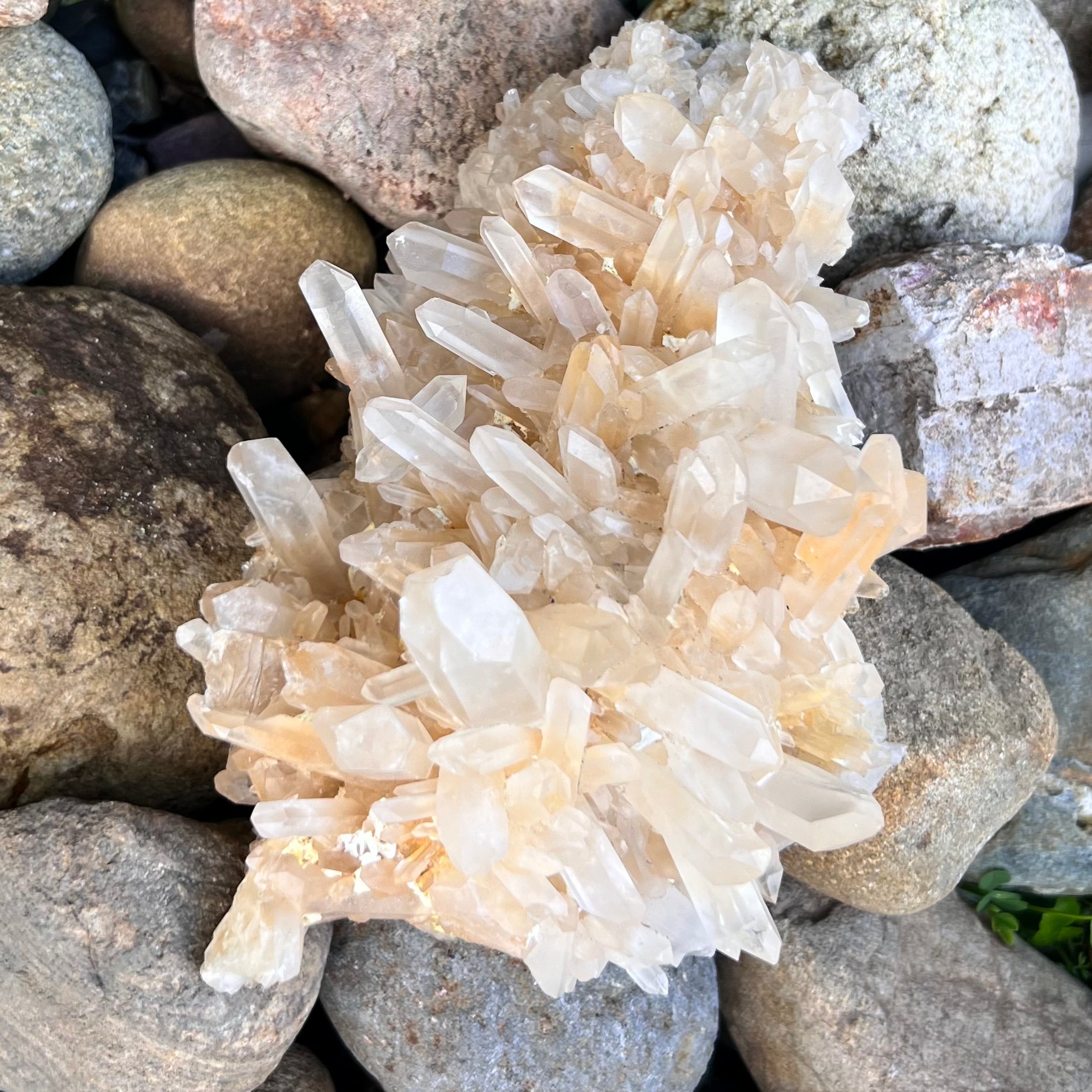 Spiritual Journey ~ Madagascar Quartz Cluster