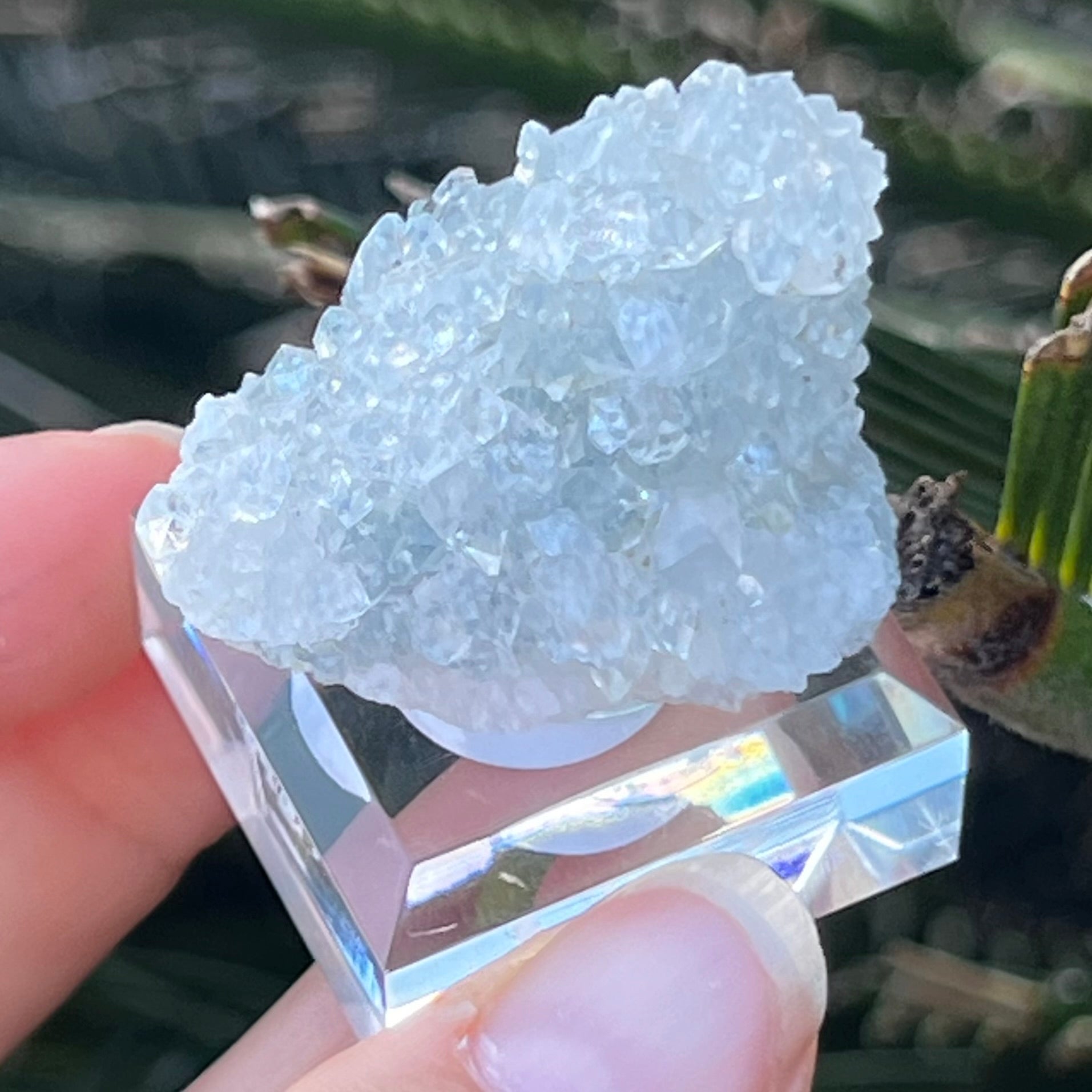 Apophyllite ~ Specialty Boxed Crystal
