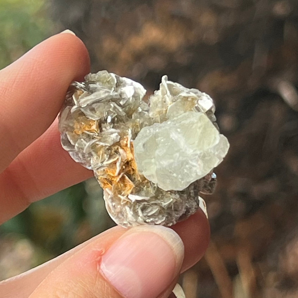 Aquamarine on the Matrix ~ Specialty Boxed Crystal