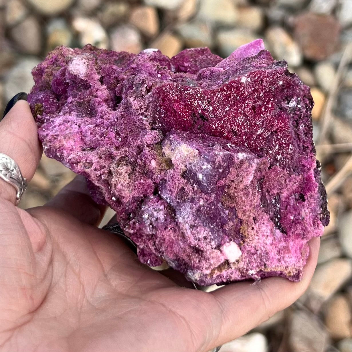 Glorious Ruby Specimen