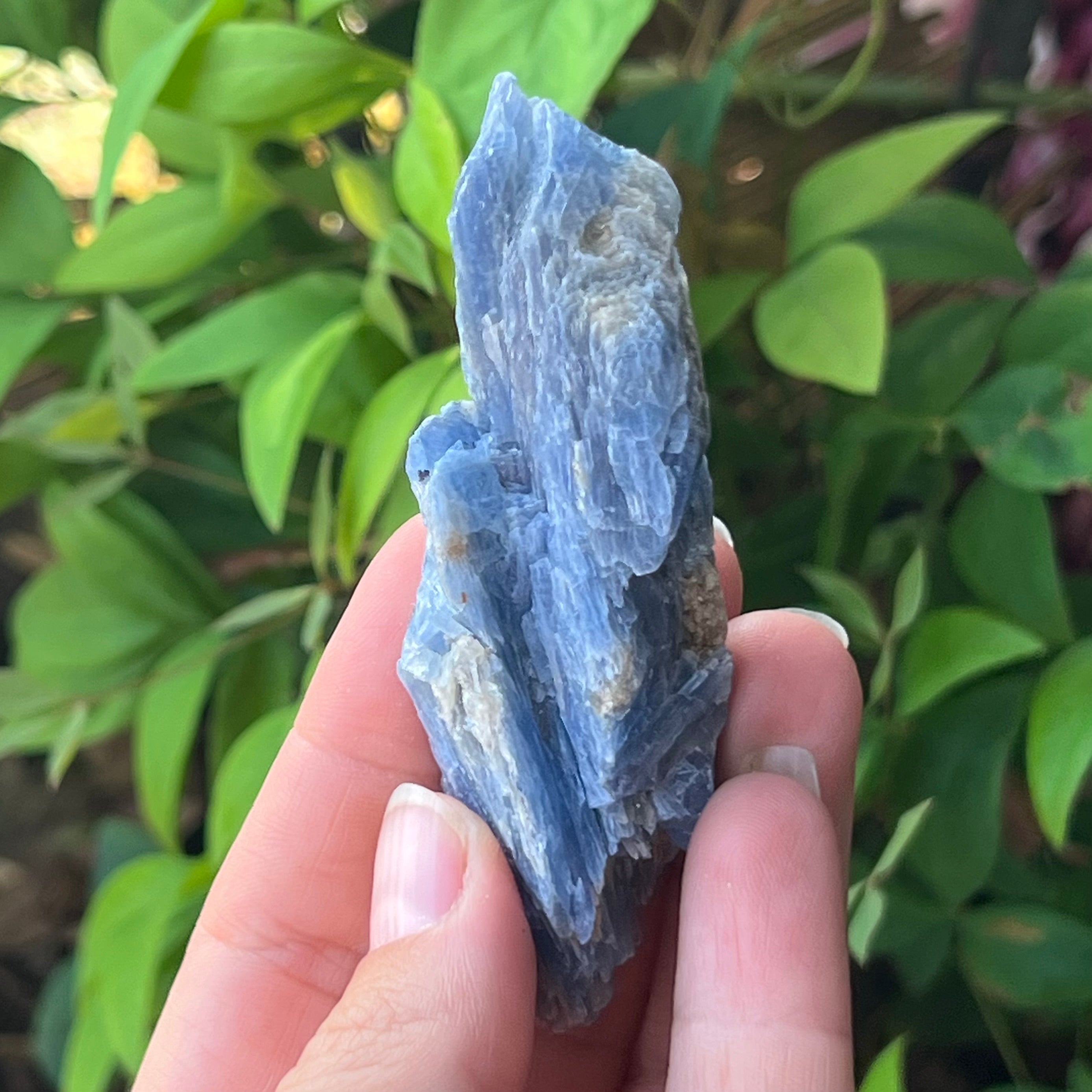 Natural Blue Kyanite