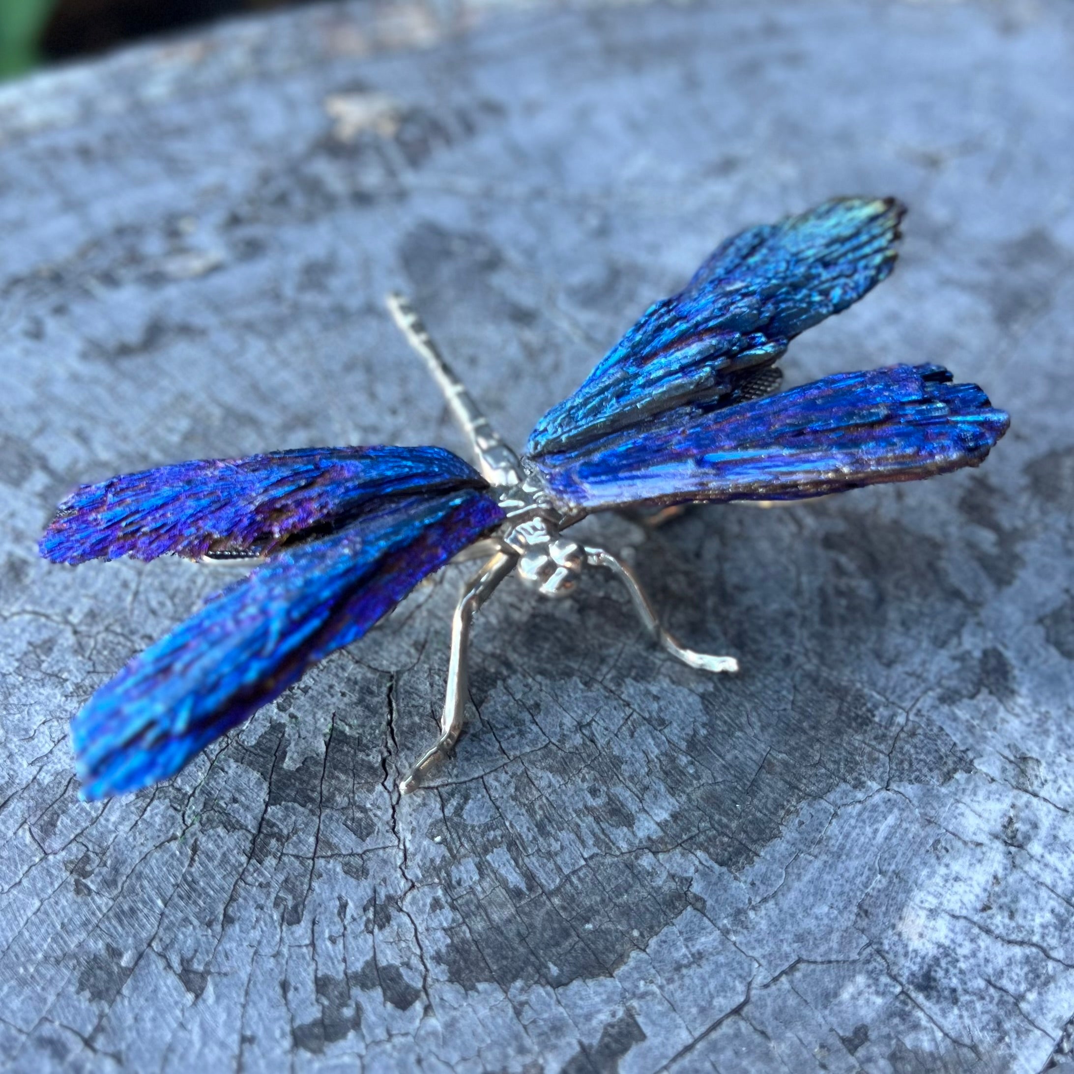 Dragon Fly ~ Blue Kyanite Electroplate