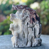 Crazy Lace Agate Dragon Carving