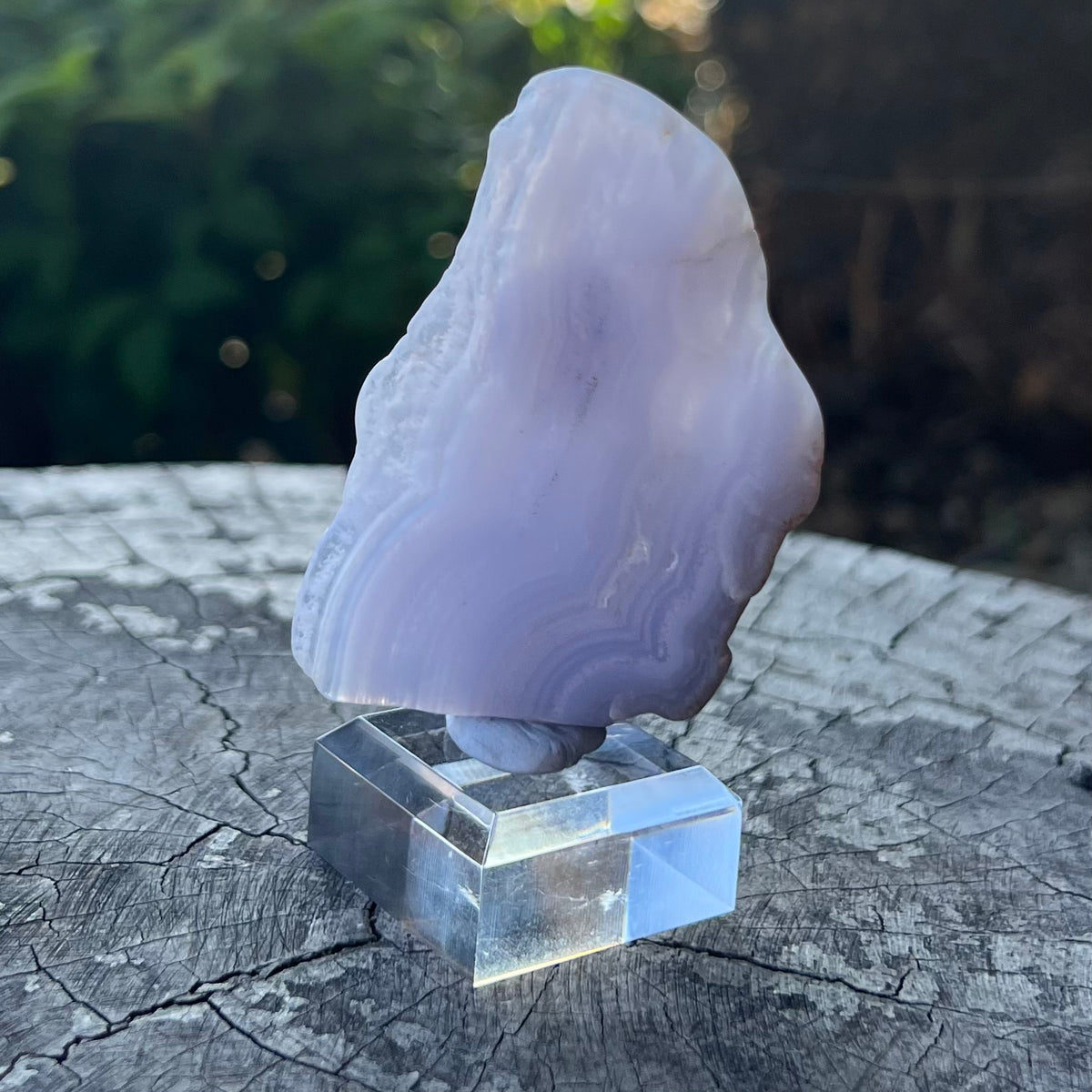 Blue Lace Agate ~ Specialty Boxed Crystal