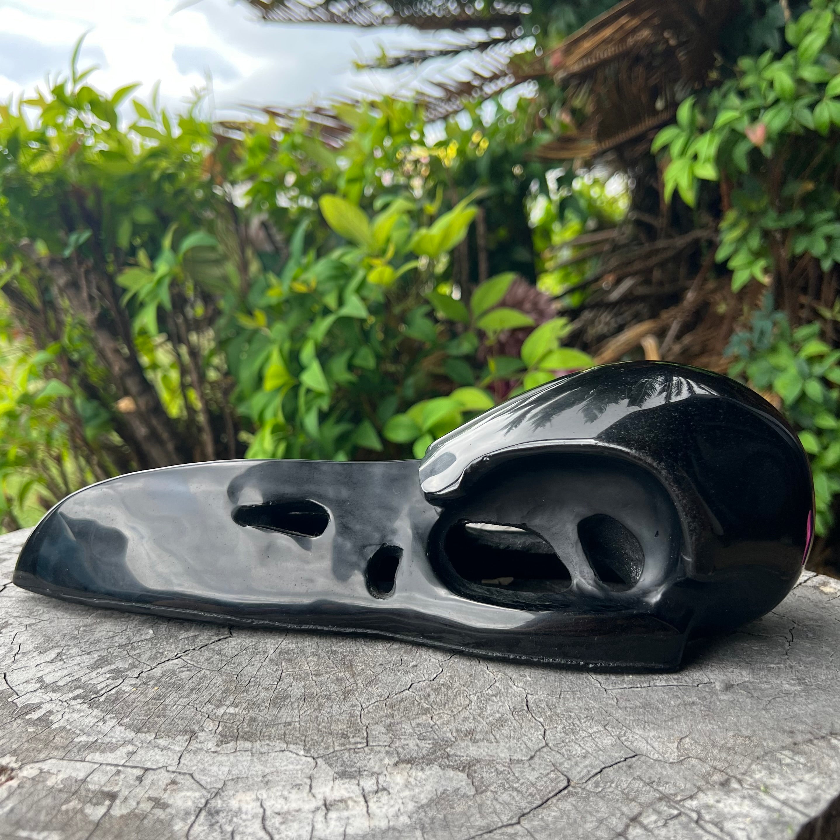 Raven Skull Carving ~ Black Obsidian