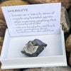 Noble Shungite ~ Specialty Boxed Crystal