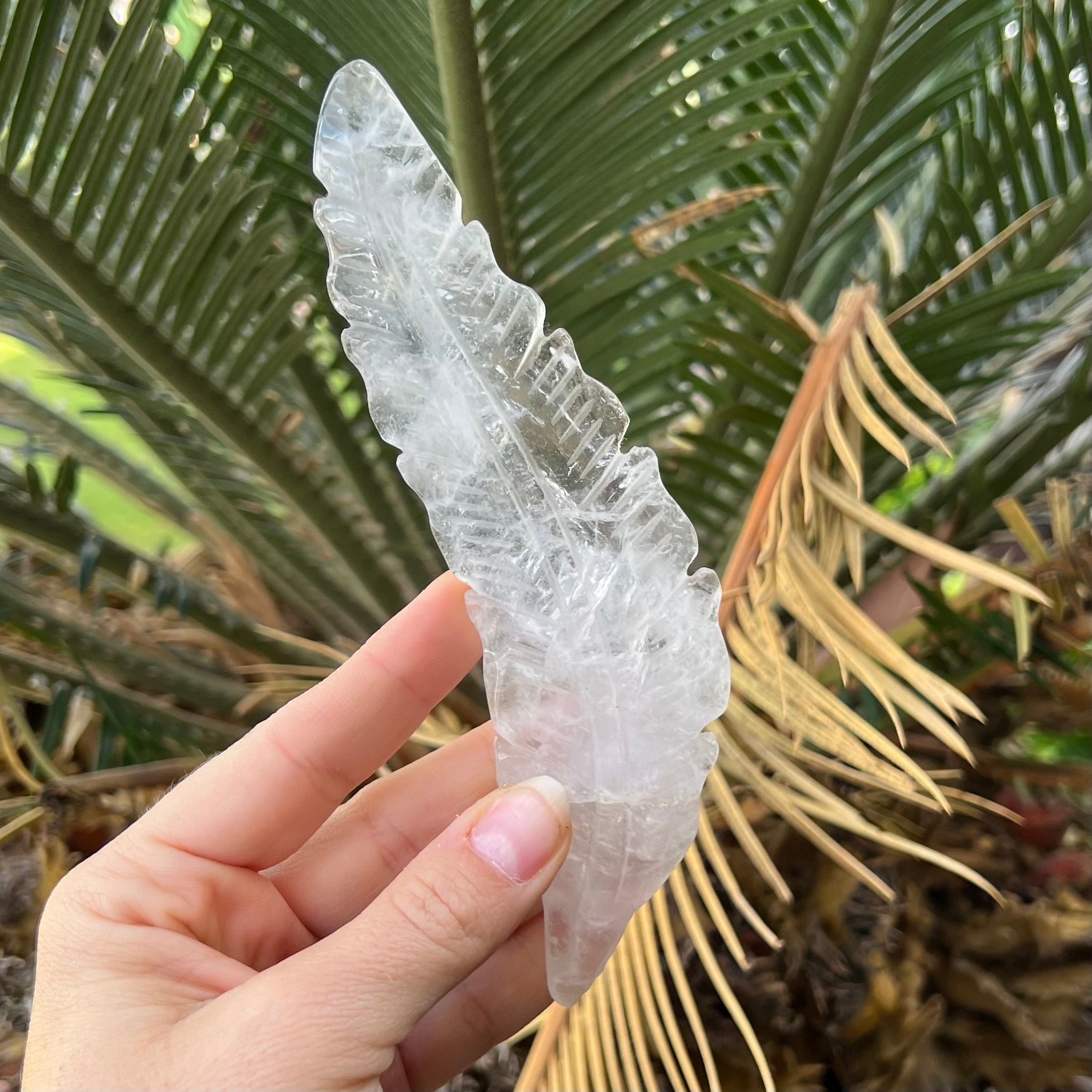 Feather of Divine Healing ~ Clear Quartz