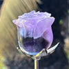 Amethyst Everlasting Rose