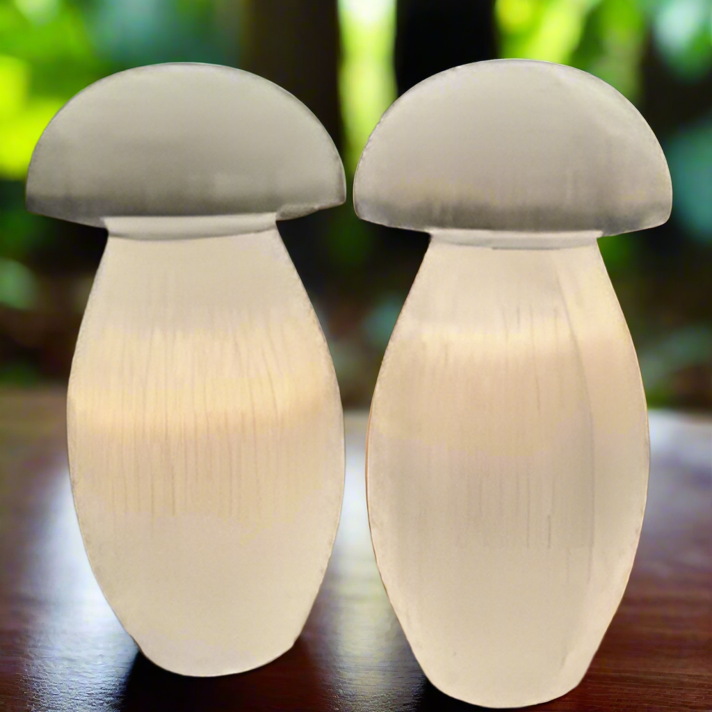 Selenite Mushroom Lamp