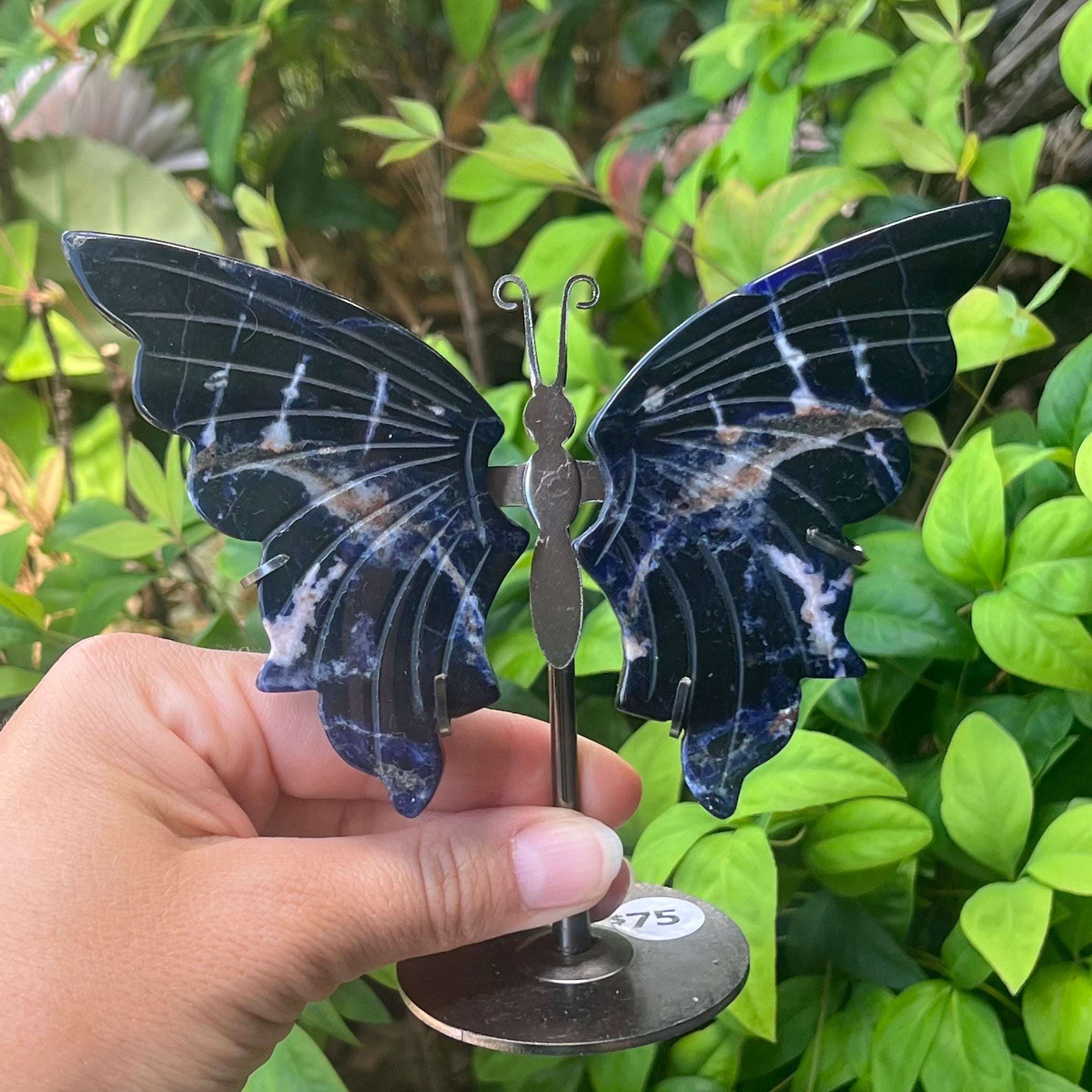Sodalite Butterfly Carving