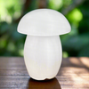 Selenite Mushroom Lamp