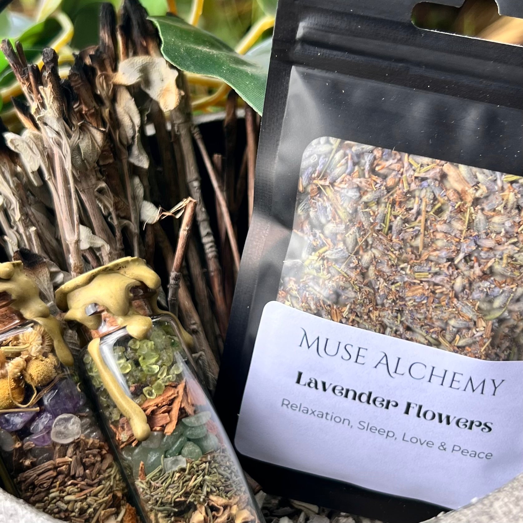 Lavender Flowers ~ Muse Alchemy Botanicals