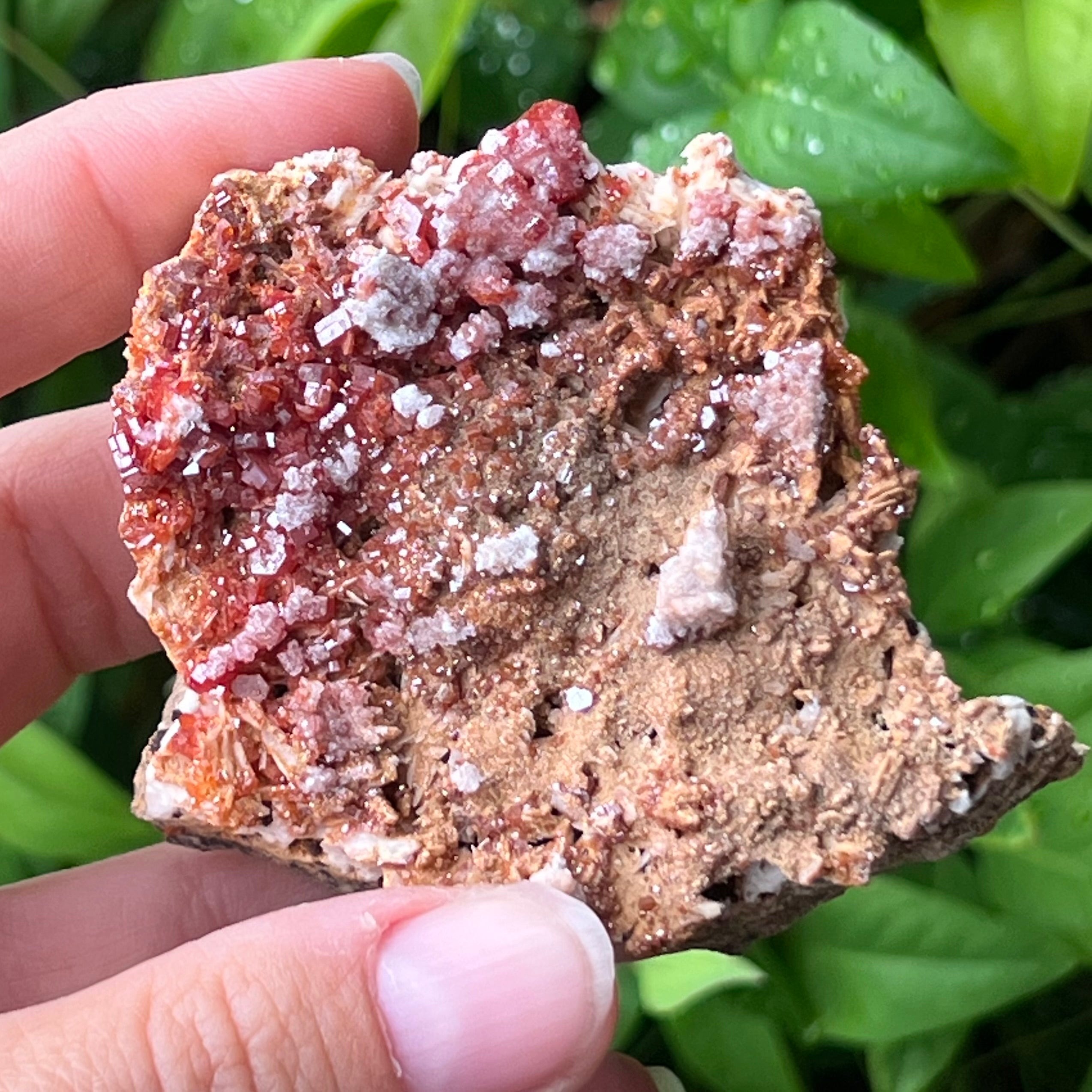 Vanadinite Specimen