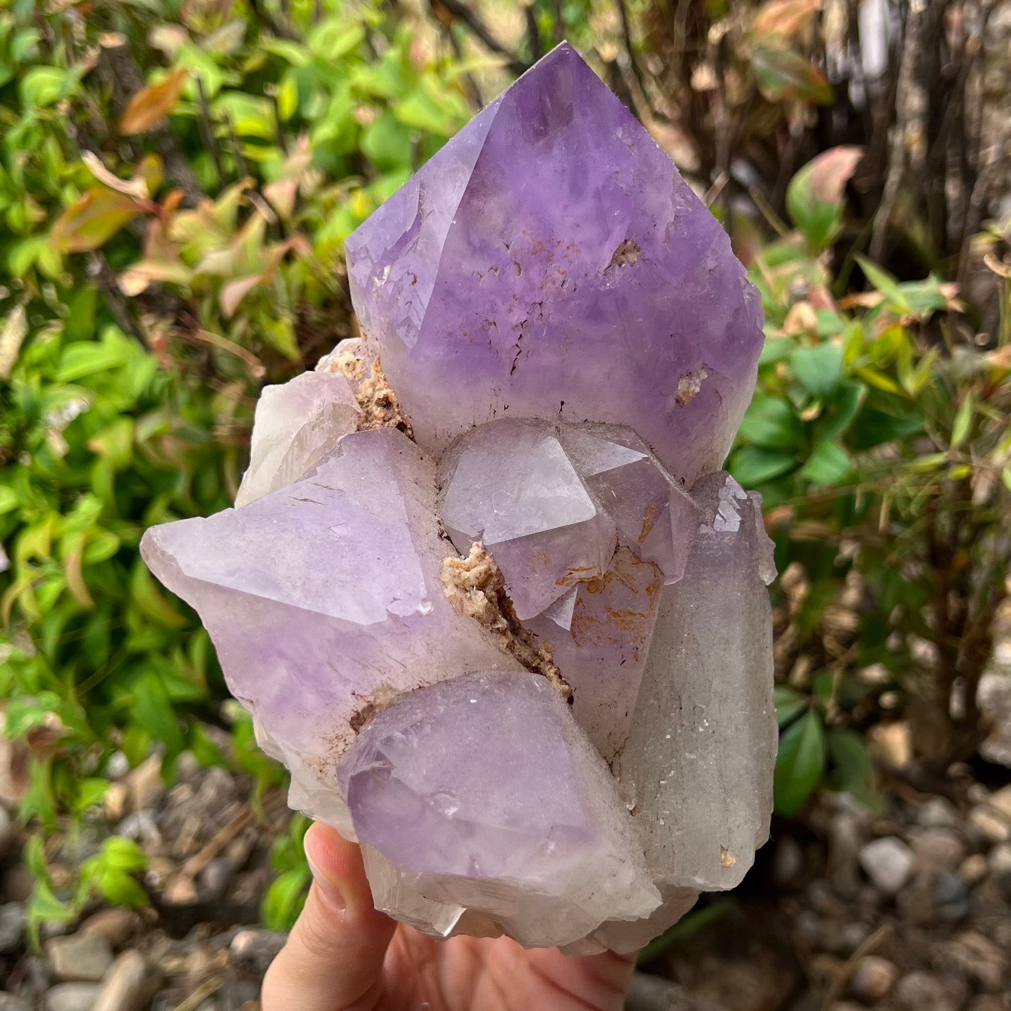Amethyst Natural Raw Cluster