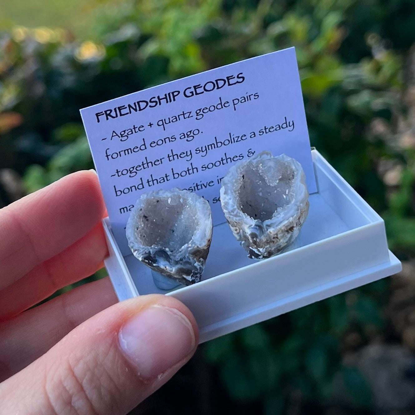 Agate Friendship Geodes ~ Specialty Boxed Crystal