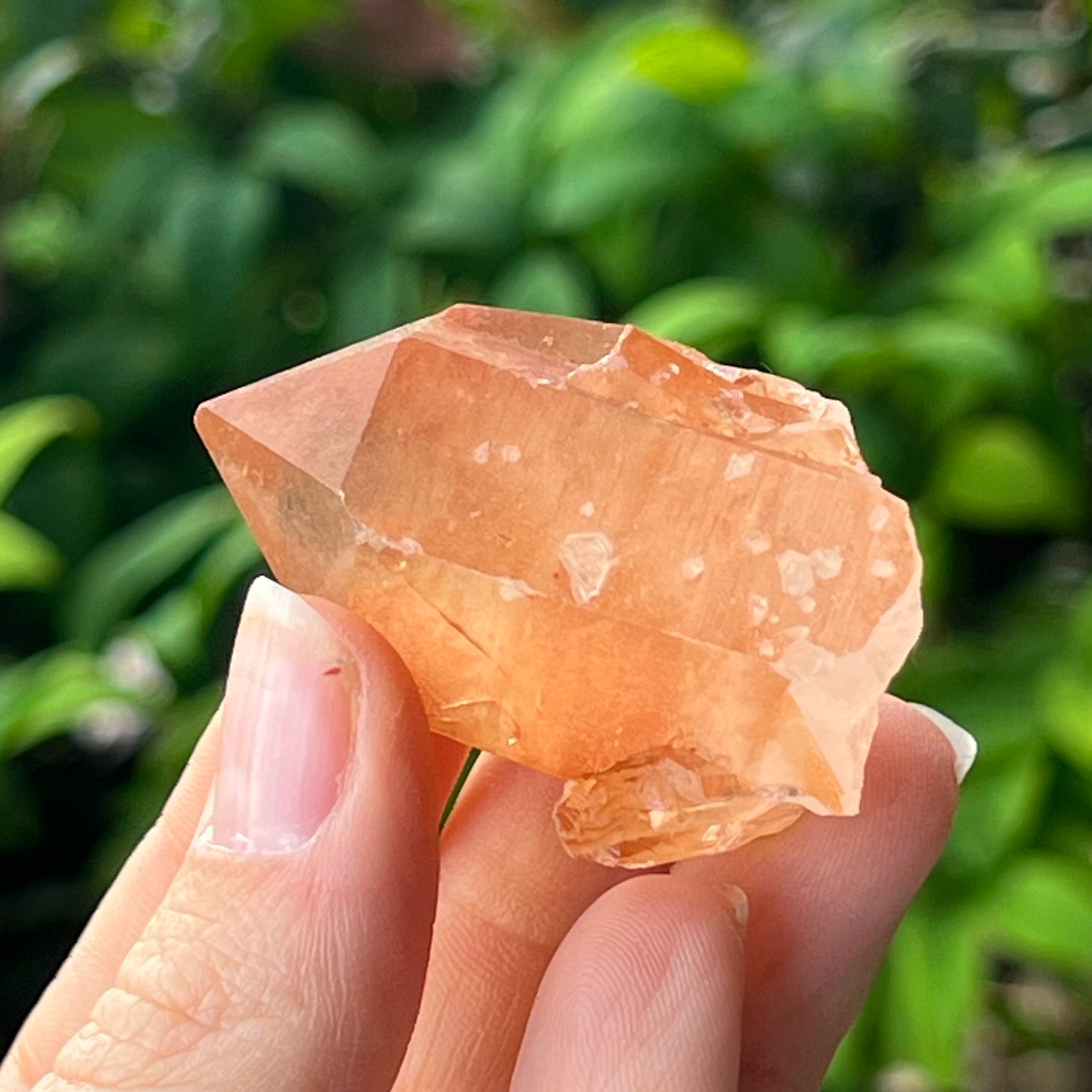 Tangerine Quartz ~ Specialty Boxed Crystal