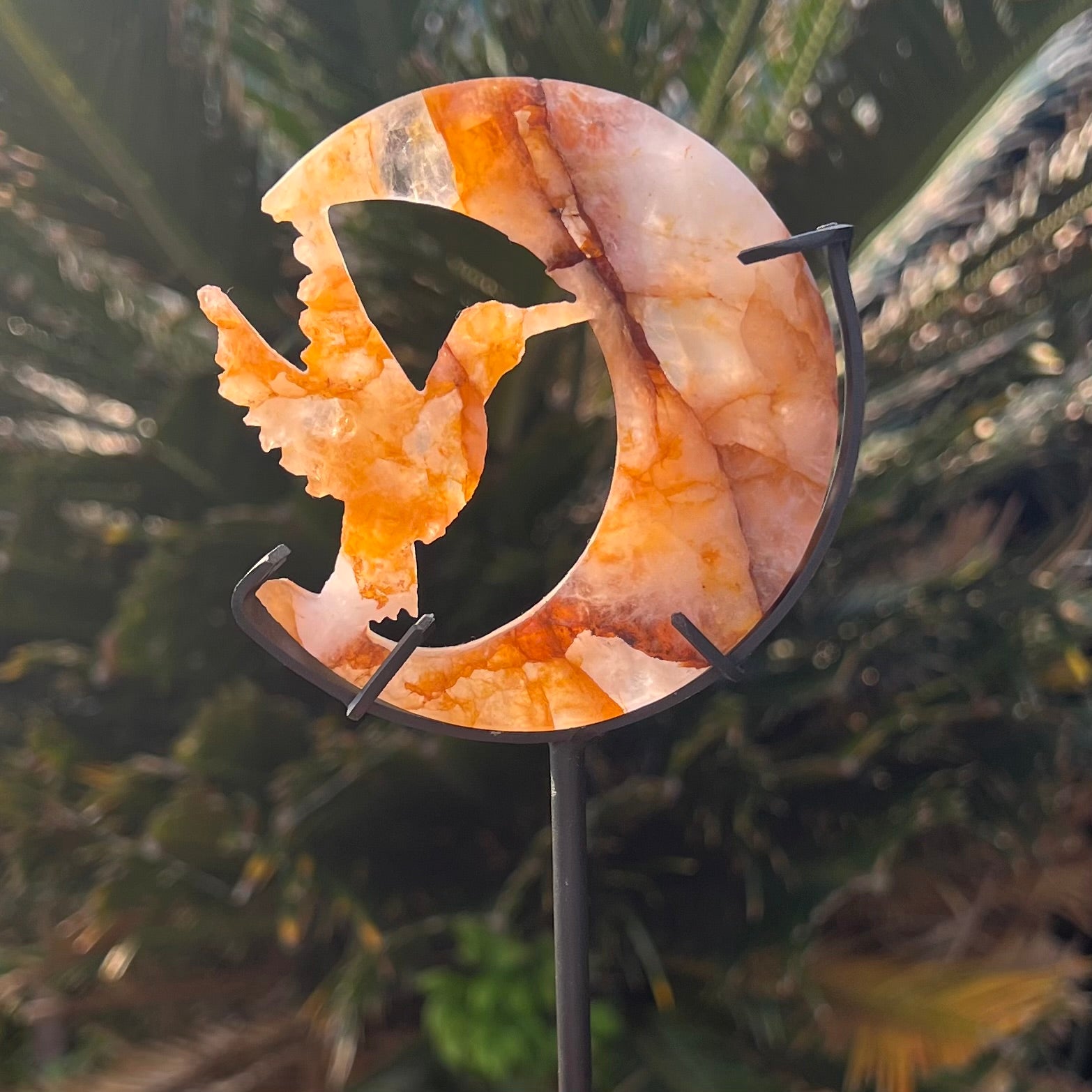 Humming Bird and Moon Carving ~ Golden Healer