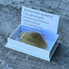 Rutilated Quartz ~ Specialty Boxed Crystal