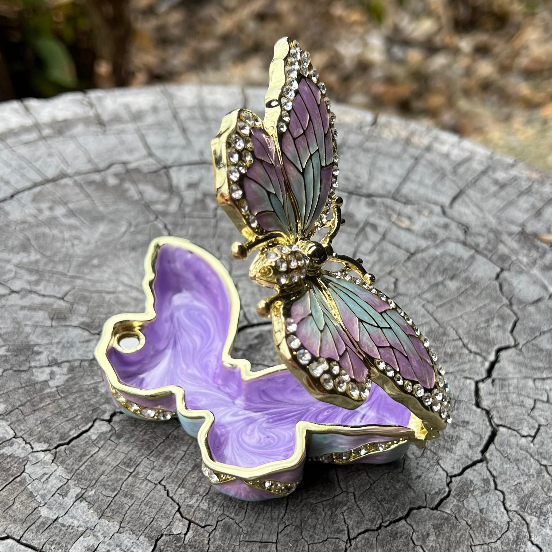 Butterfly ~ Trinket Box