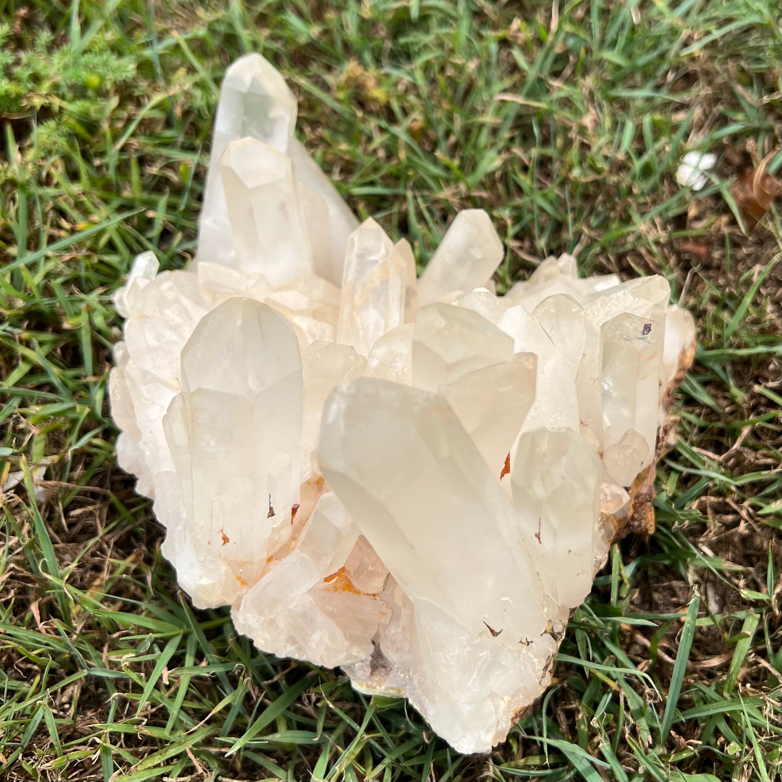 Clear Quartz Cluster