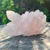 Rose Quartz Rose Carving - Medium