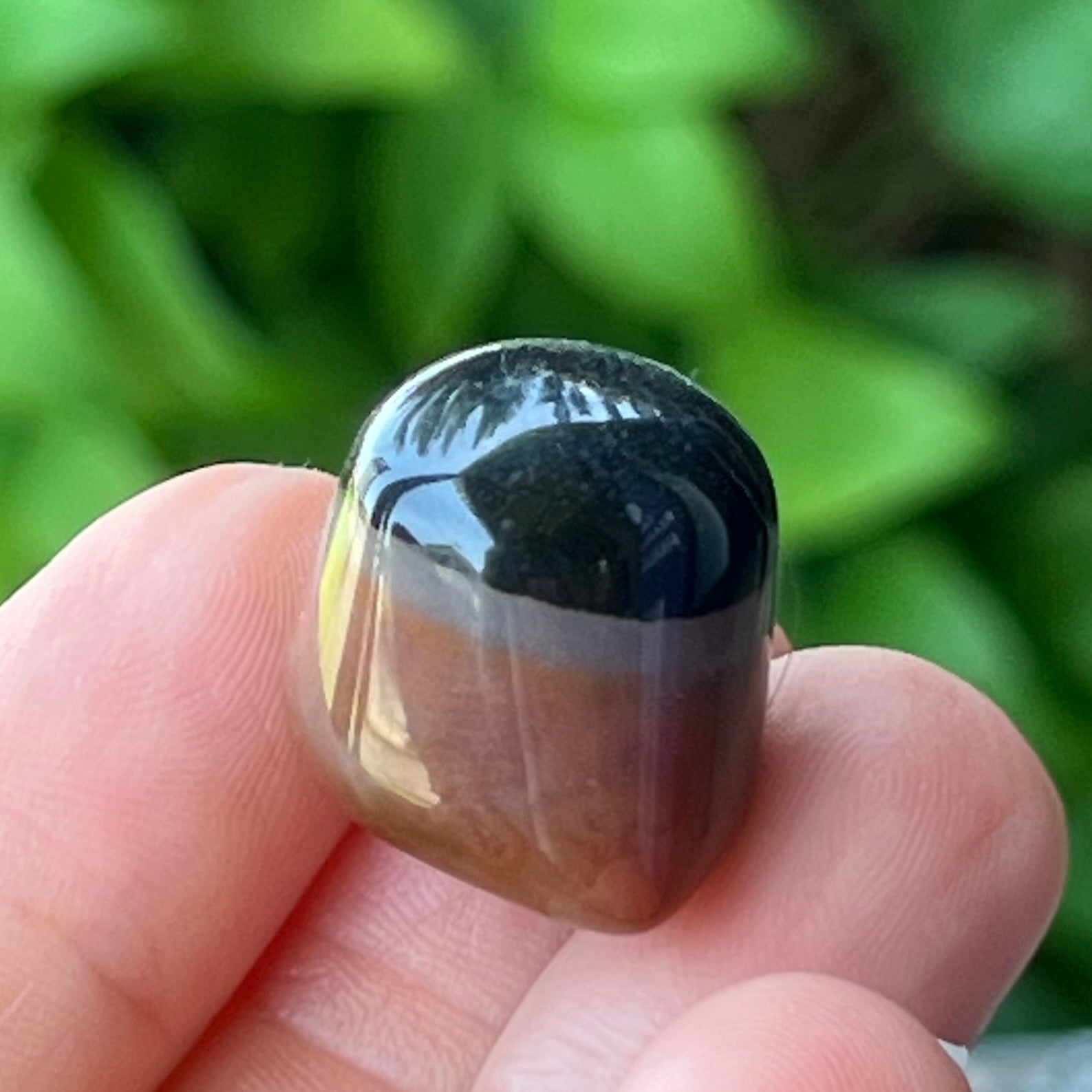 Eye Agate ~ Specialty Boxed Crystal