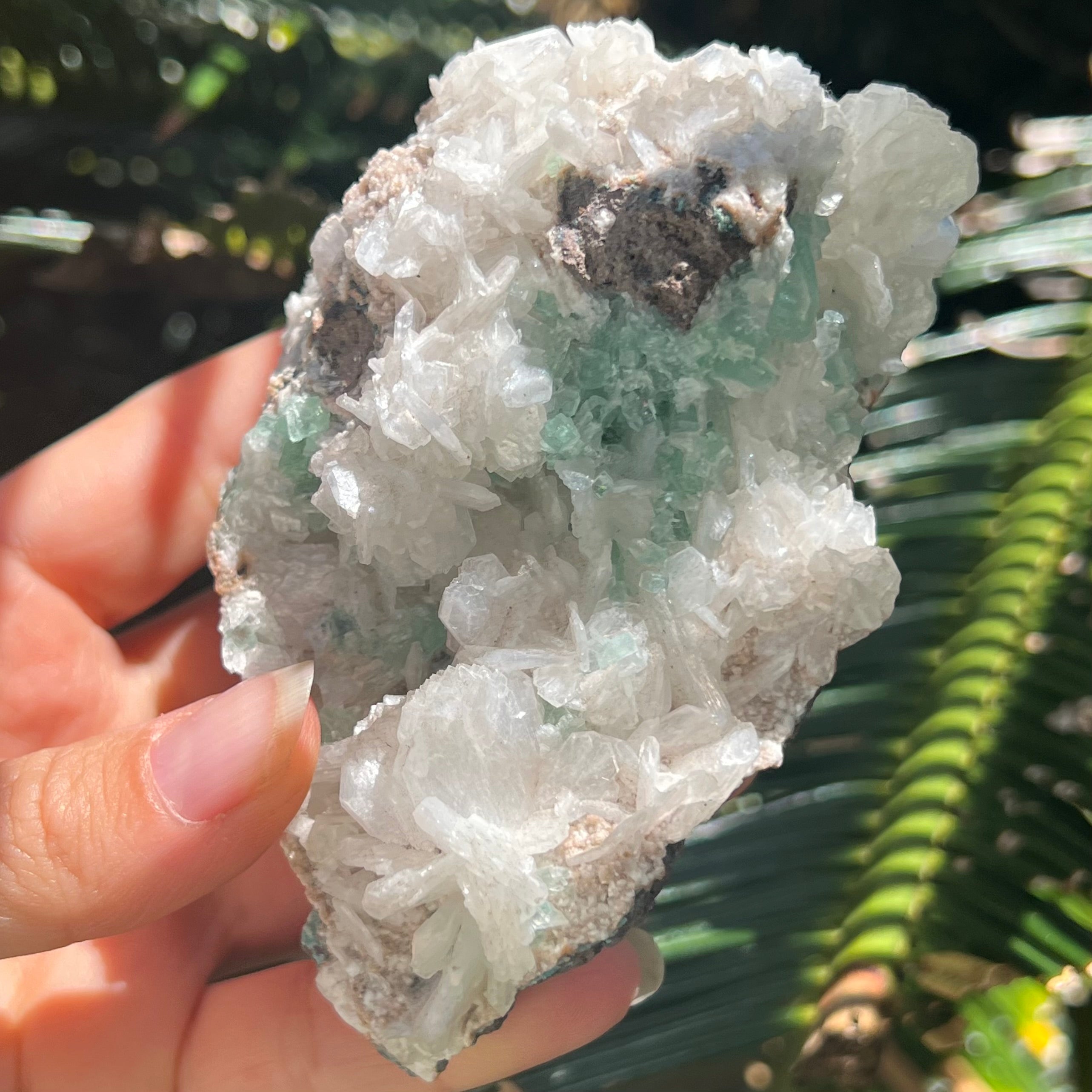 Green Apophyllite