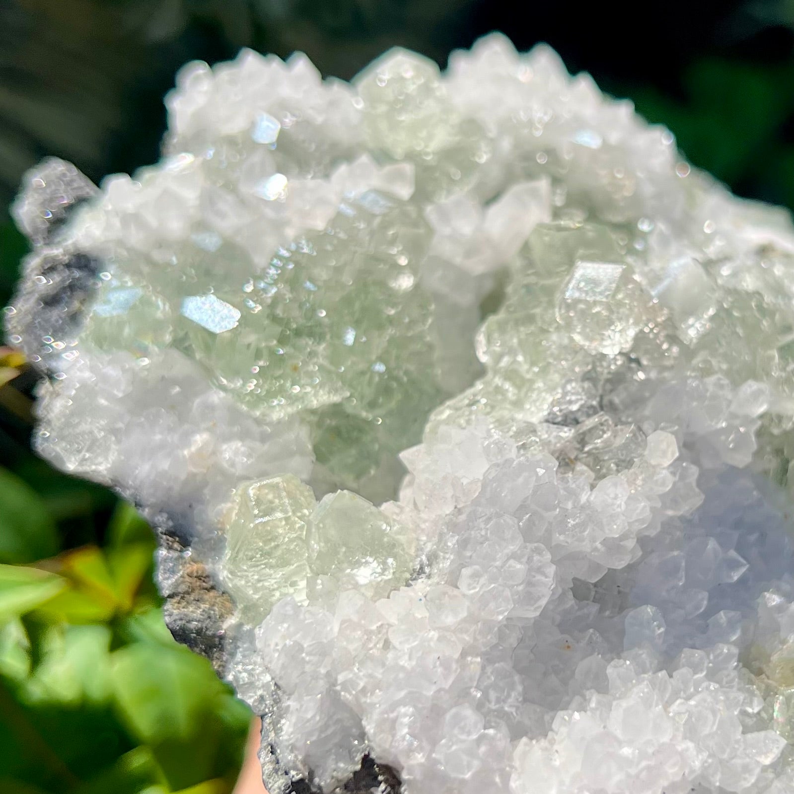 Apophylite Cluster