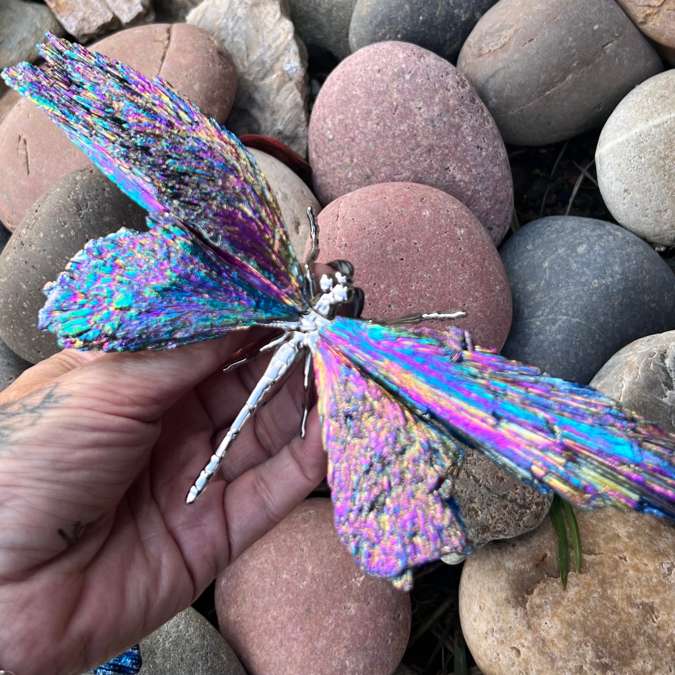 Dragon Fly ~ Rainbow Kyanite Electroplate