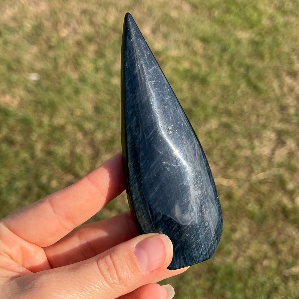 Blue Tiger Carving