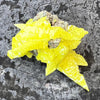 Sulphur Quartz Specimen