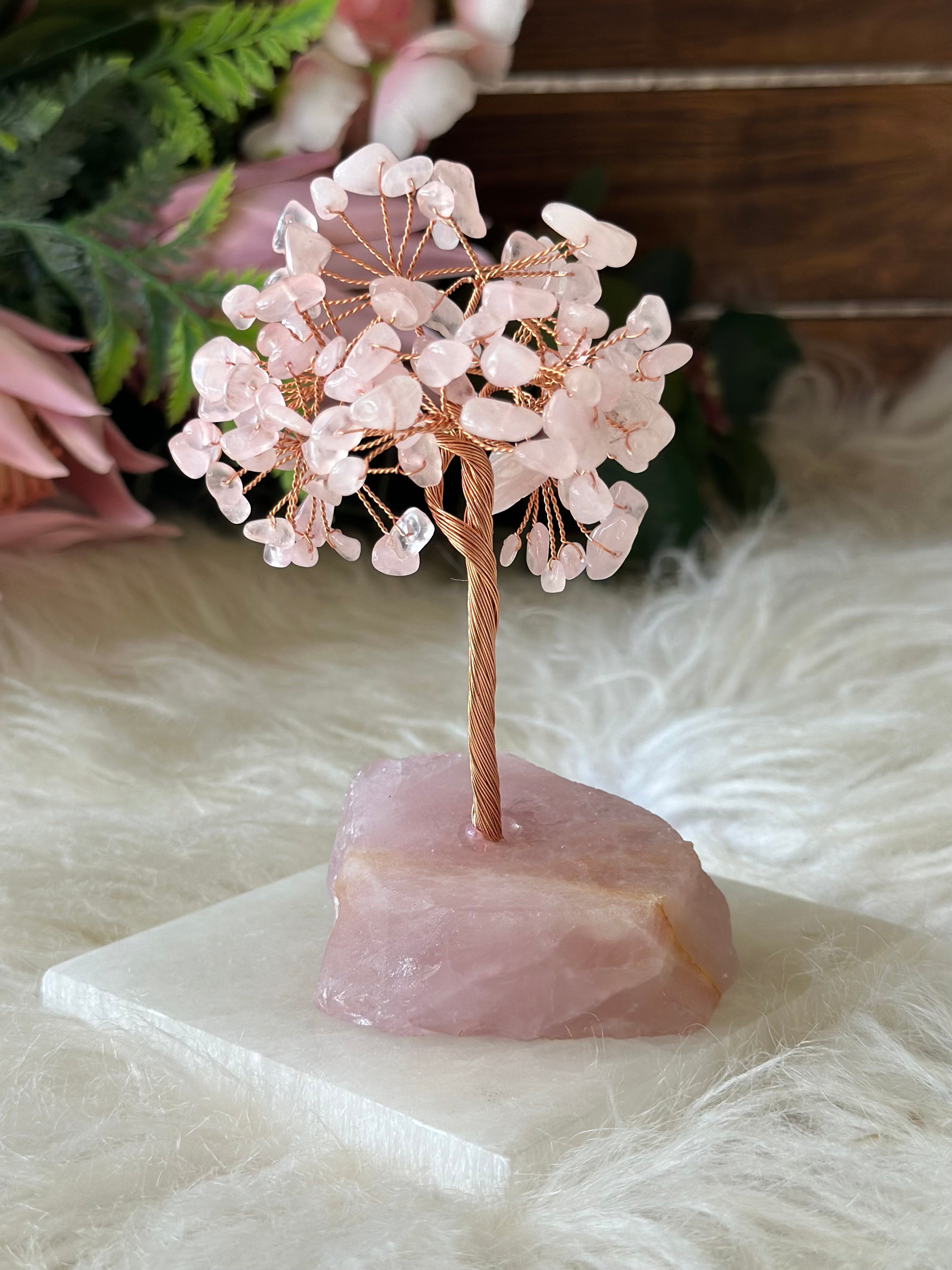 Rose Quartz Tree - Muse Crystals & Mystical Gifts