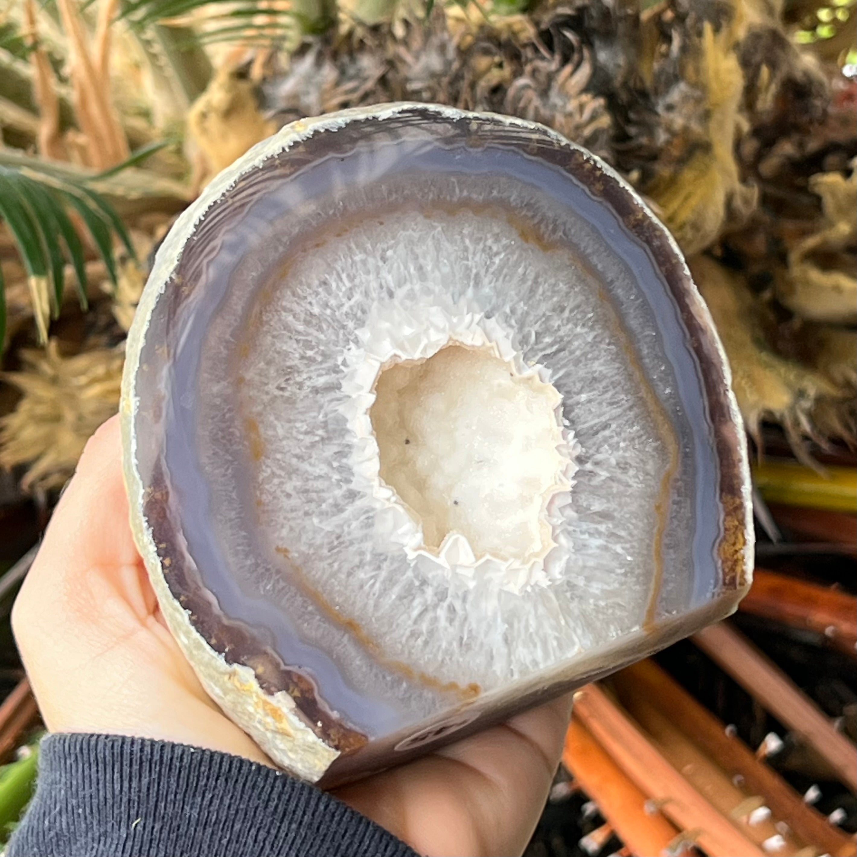 Agate Geode Druzy Slice