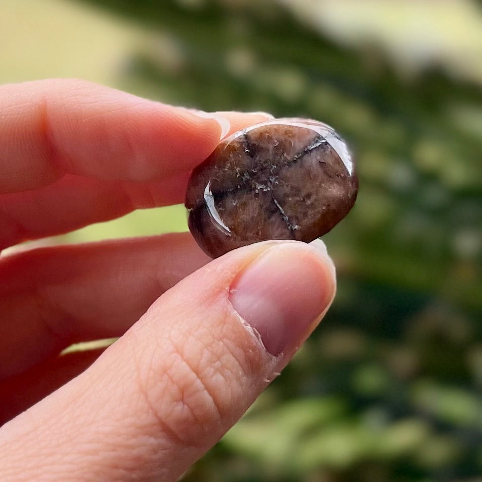 Chiastolite Protection Tumbled Specialty Crystal (2)