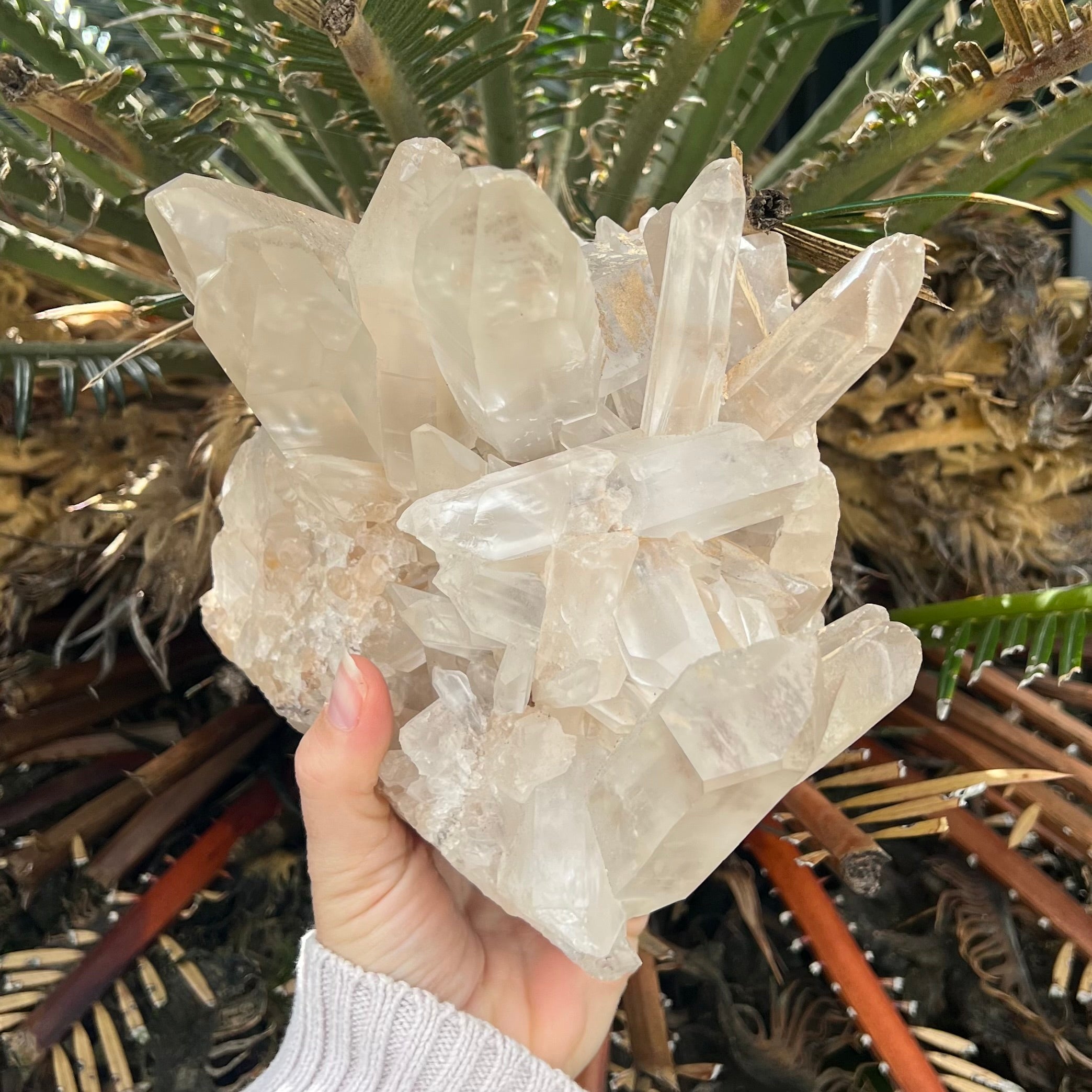 Clear Quartz Cluster