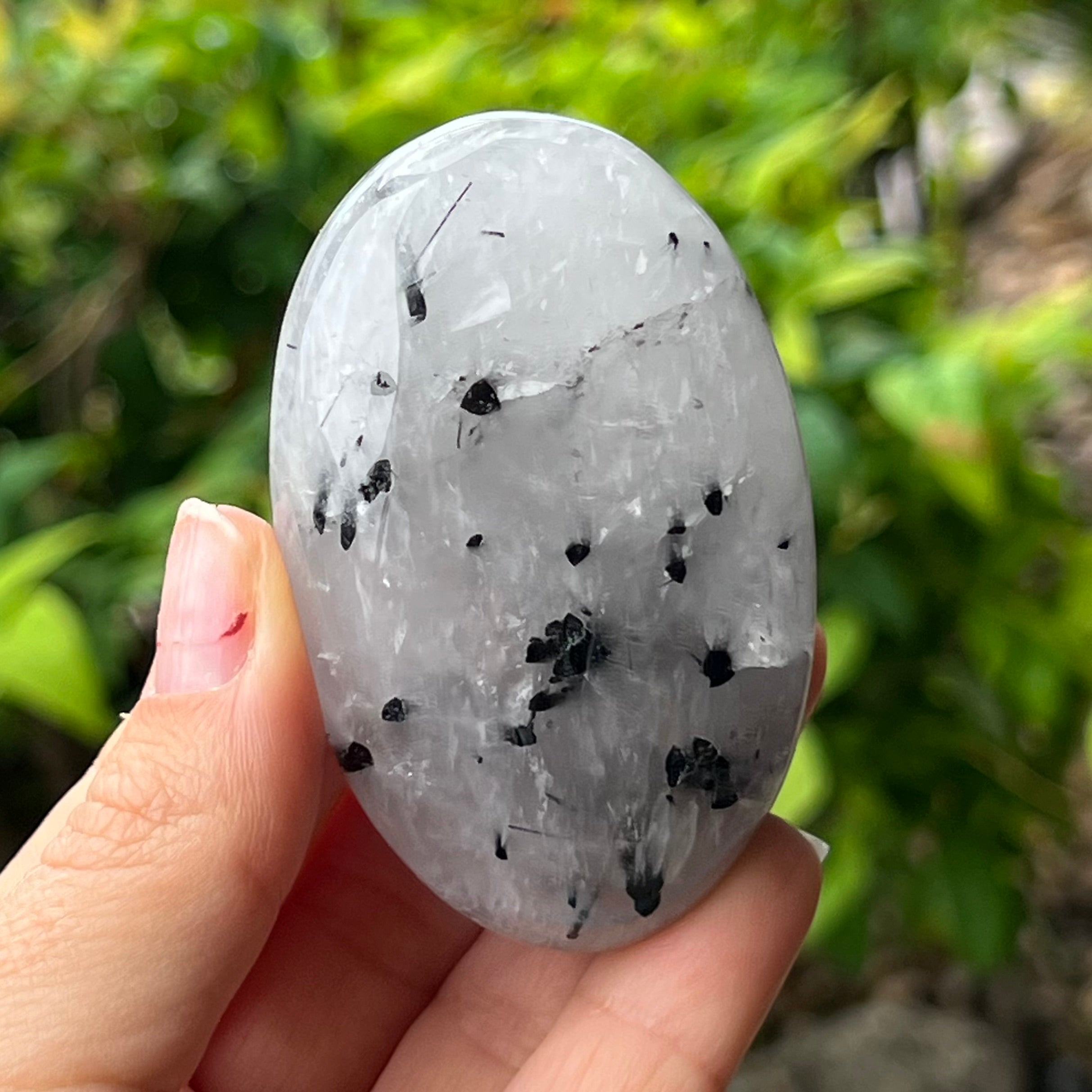 Black Tourmaline in Quartz Palm Stone