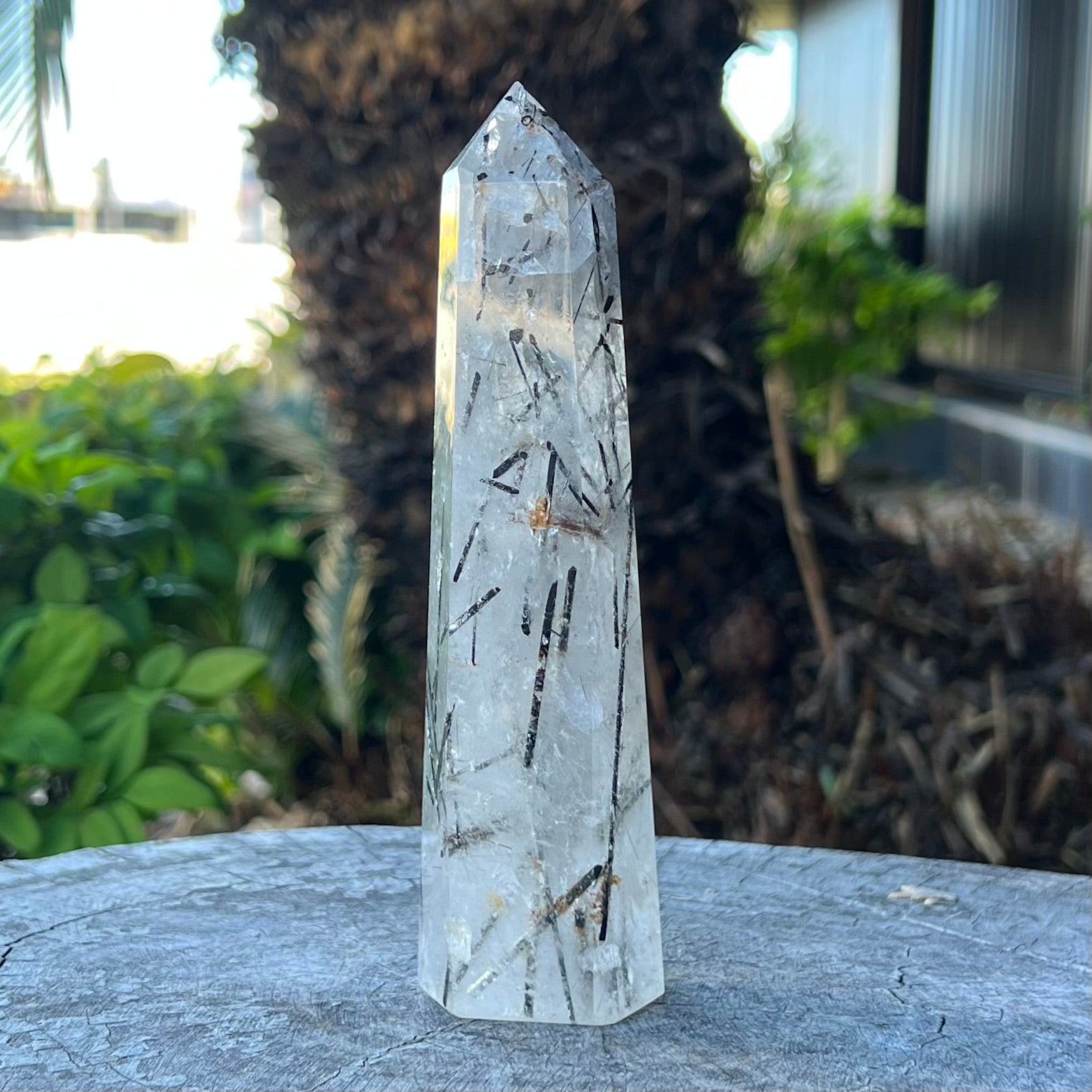 Black Tourmaline in Clear Protective Generator Quartz Tower