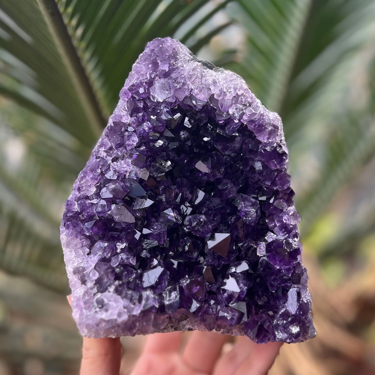 Amethyst Cluster