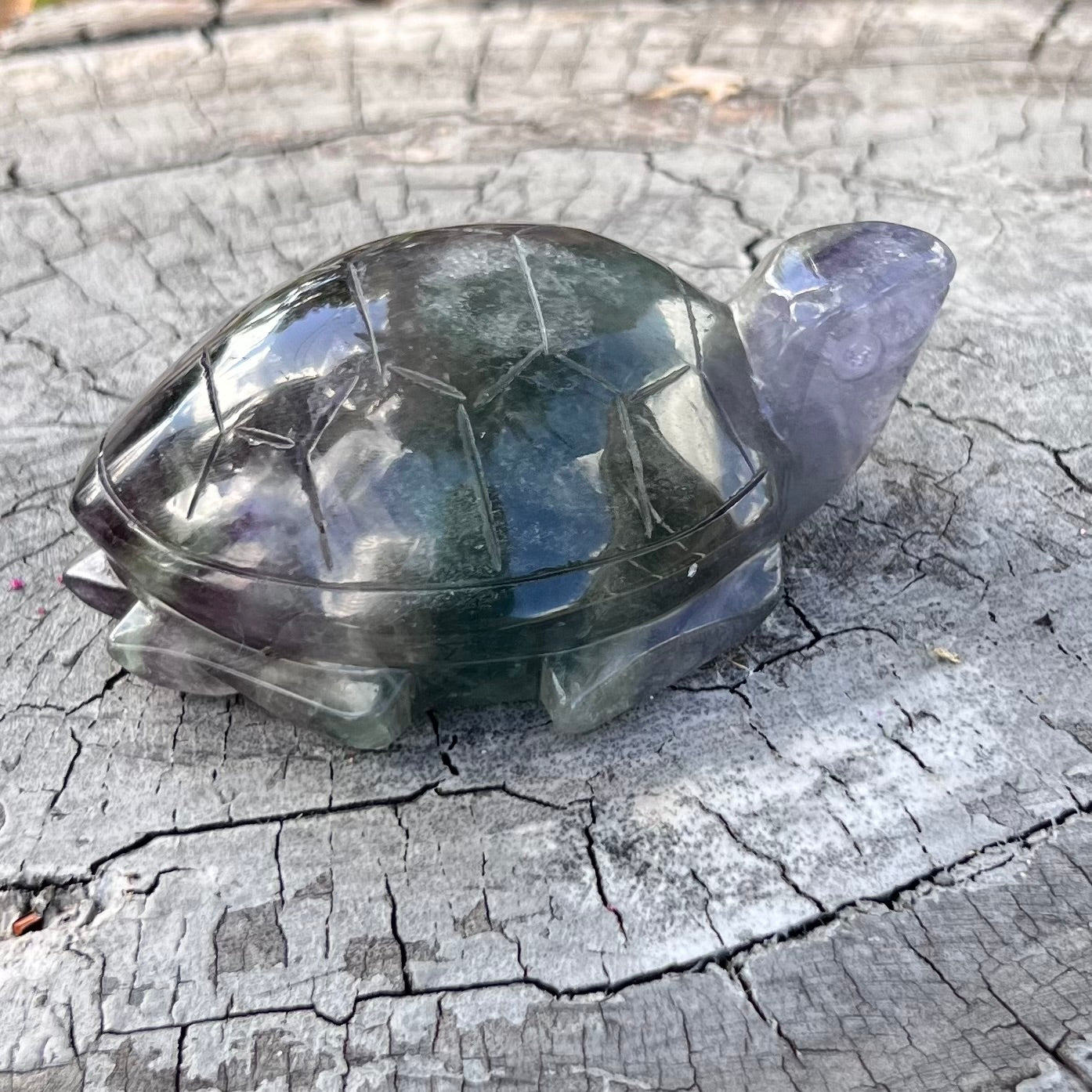 Rainbow Fluorite Turtle Carving