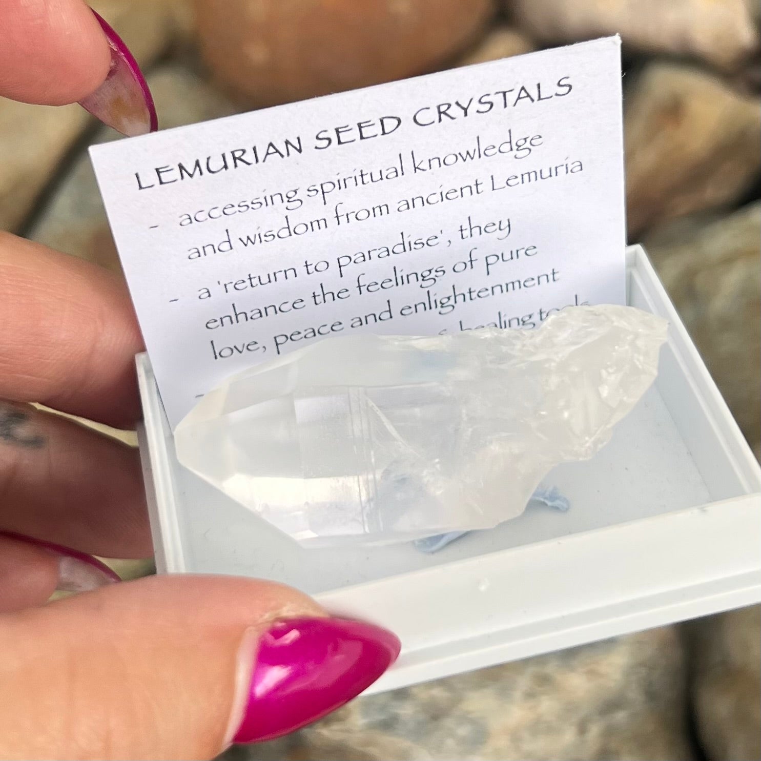 Raw Lumerian Seed Specimen~ Specialty Boxed Crystal