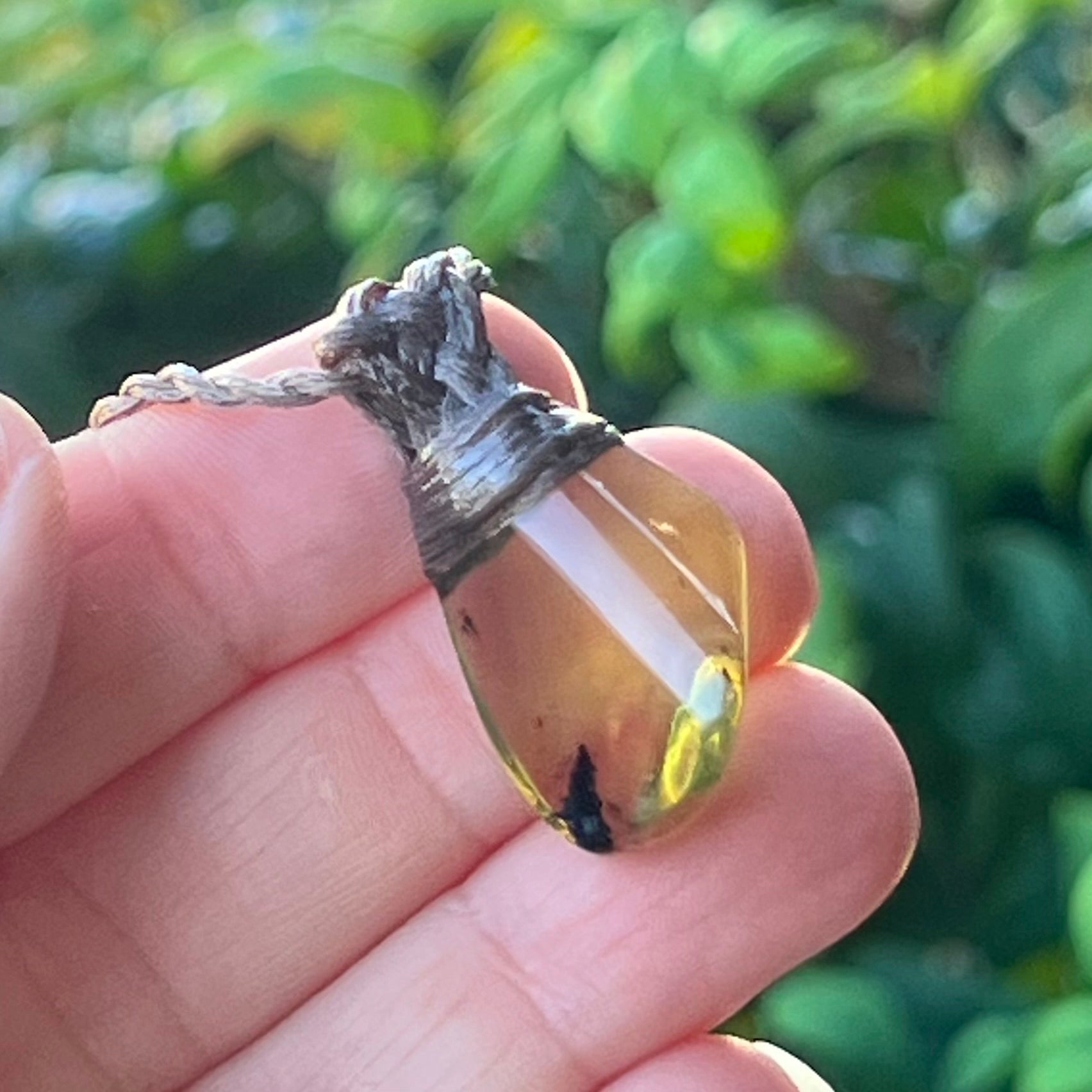 Muse Medicine - Amber ~ Talisman
