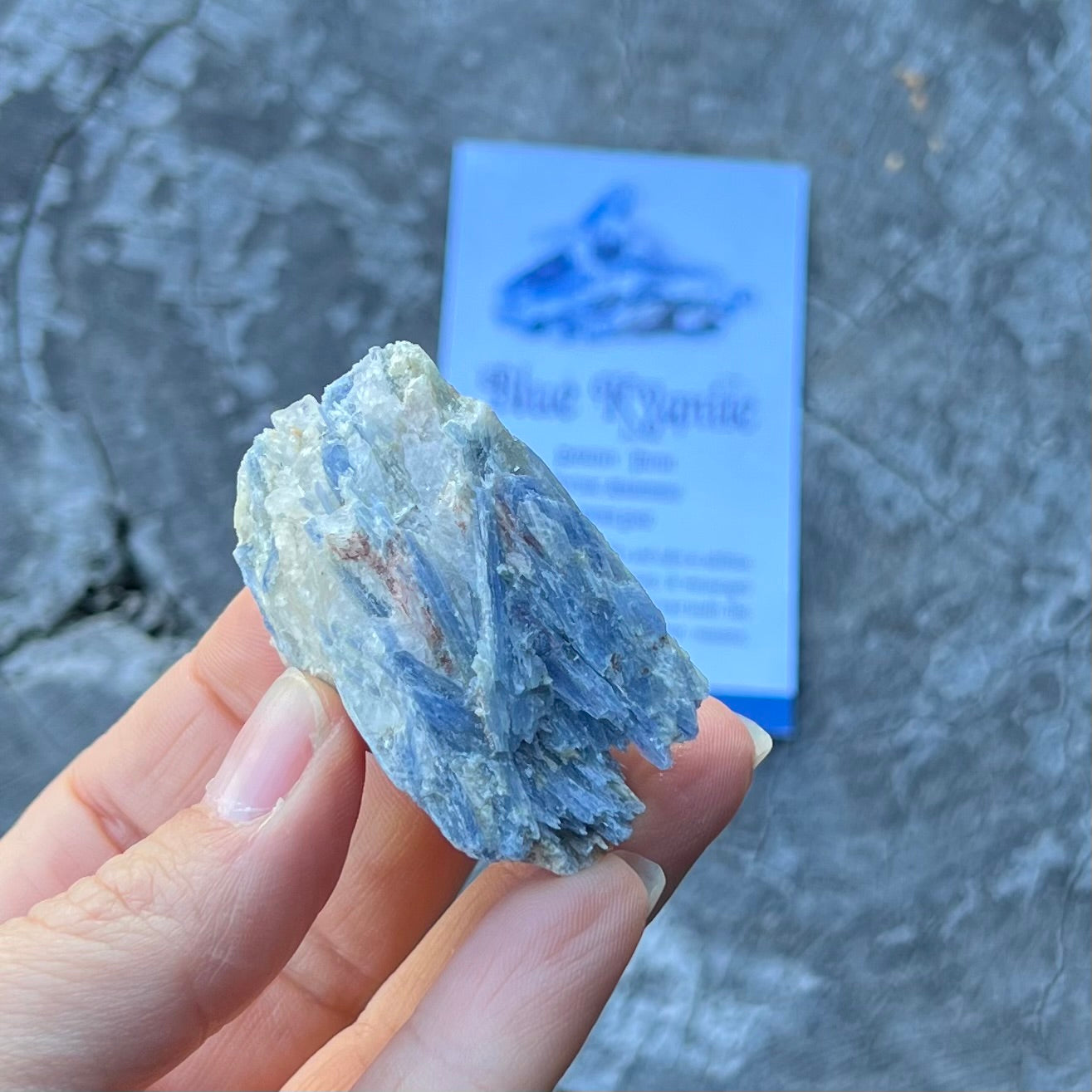 Blue Kyanite Specialty Crystal