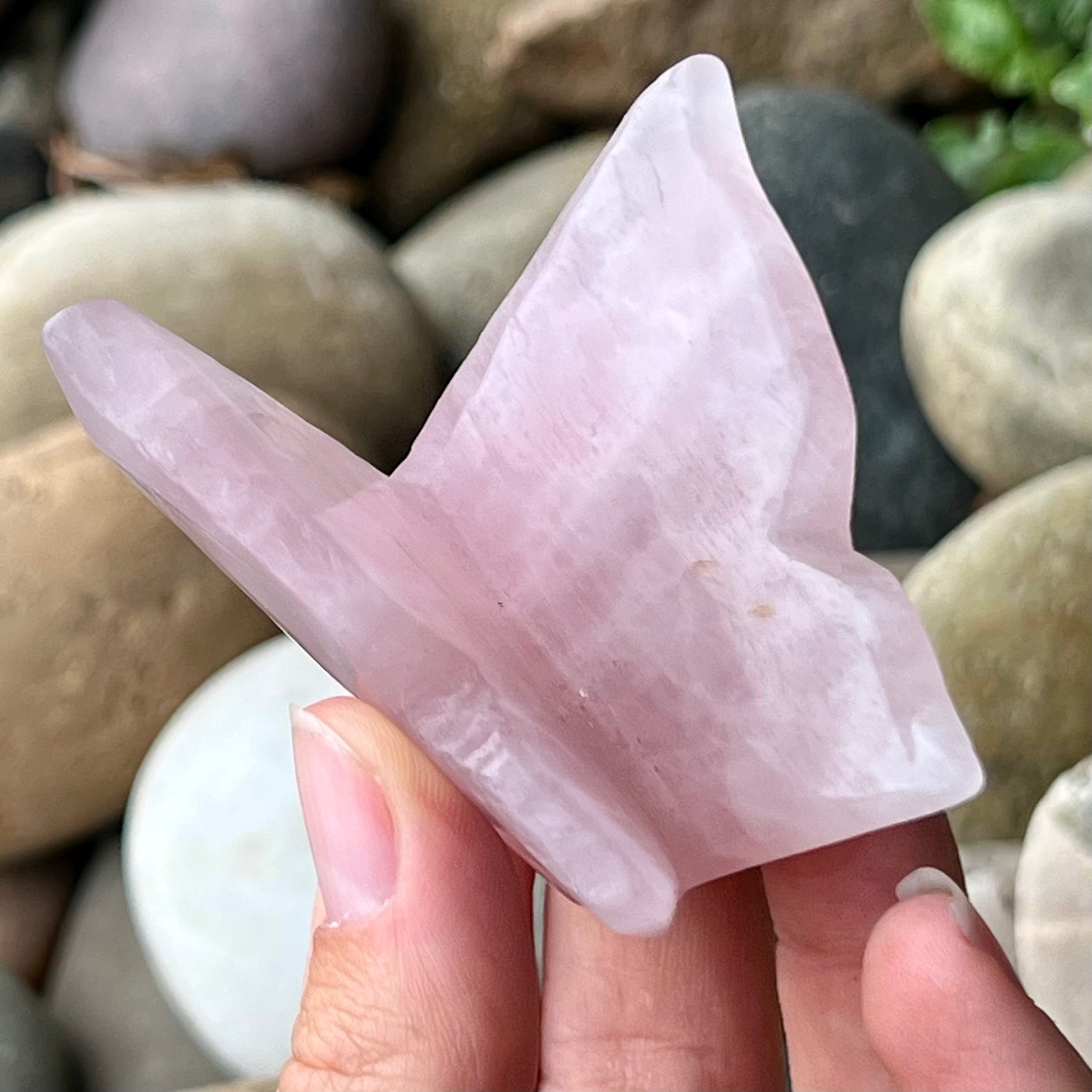Rose Quartz Butterfly Carving