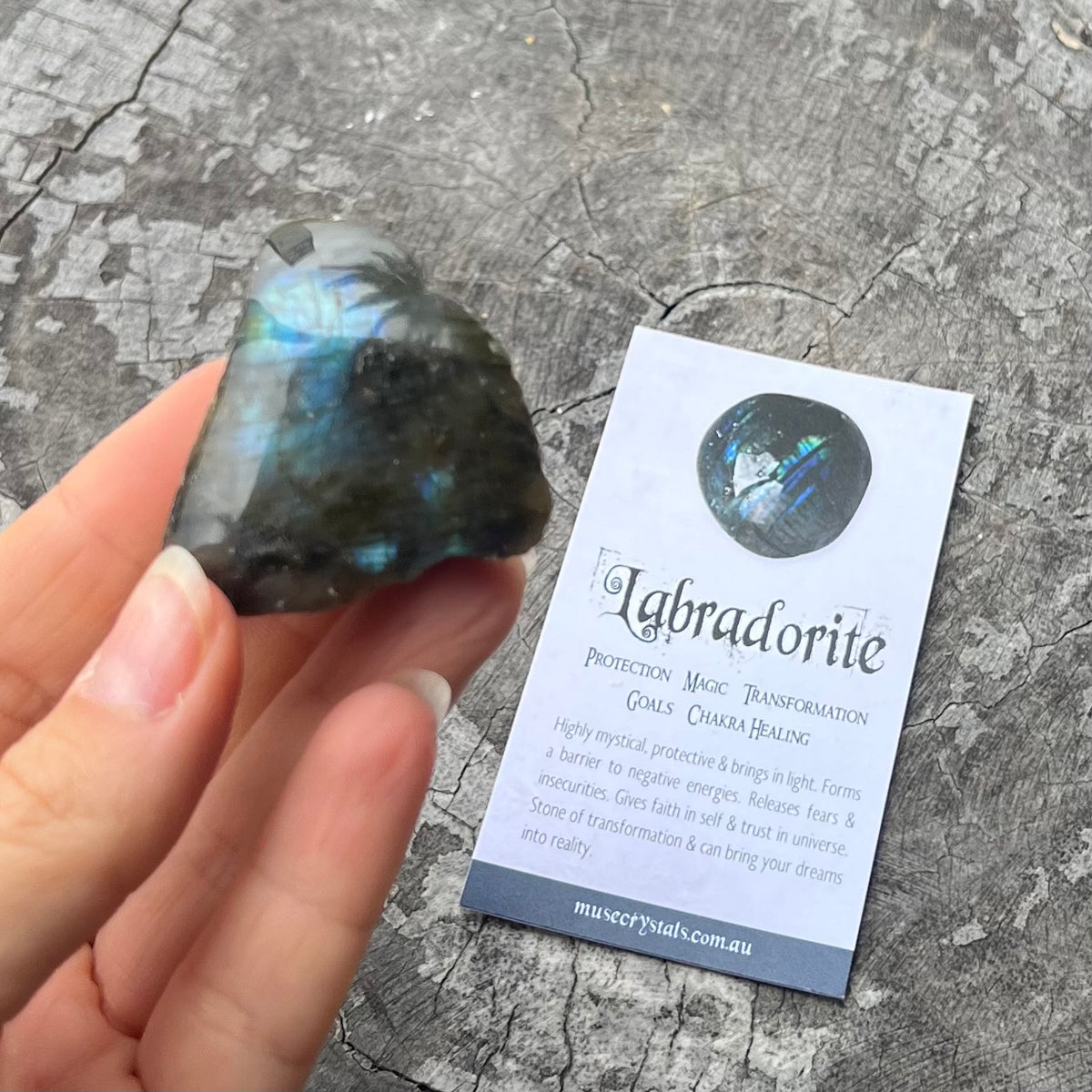 Labradorite ~ Specialty Boxed Crystal