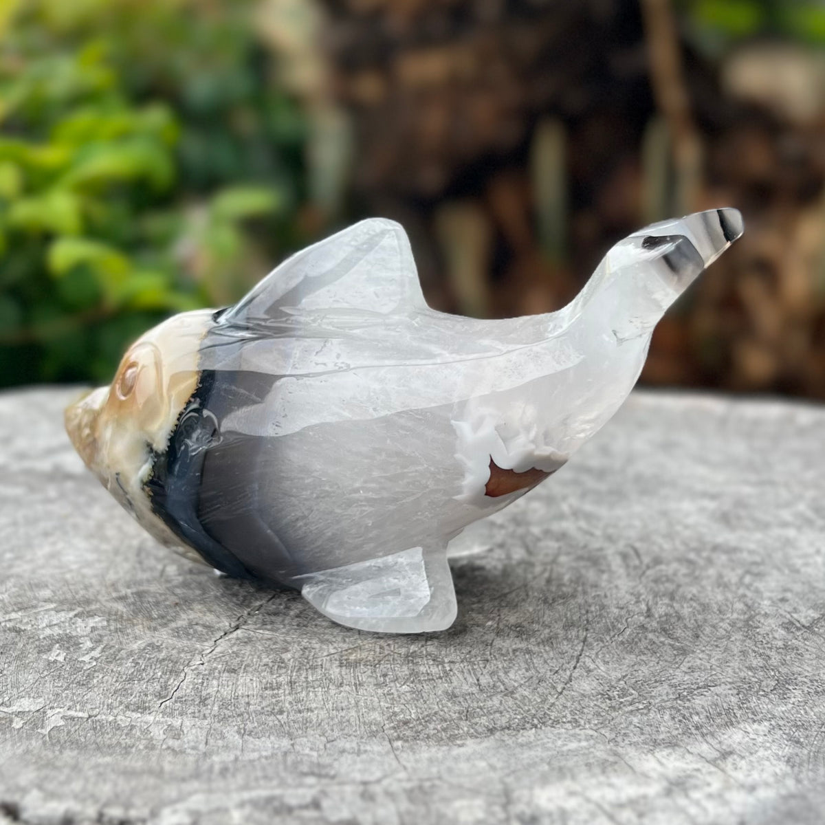 Agate Dolphin Carving