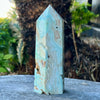 Caribbean Calcite Tower