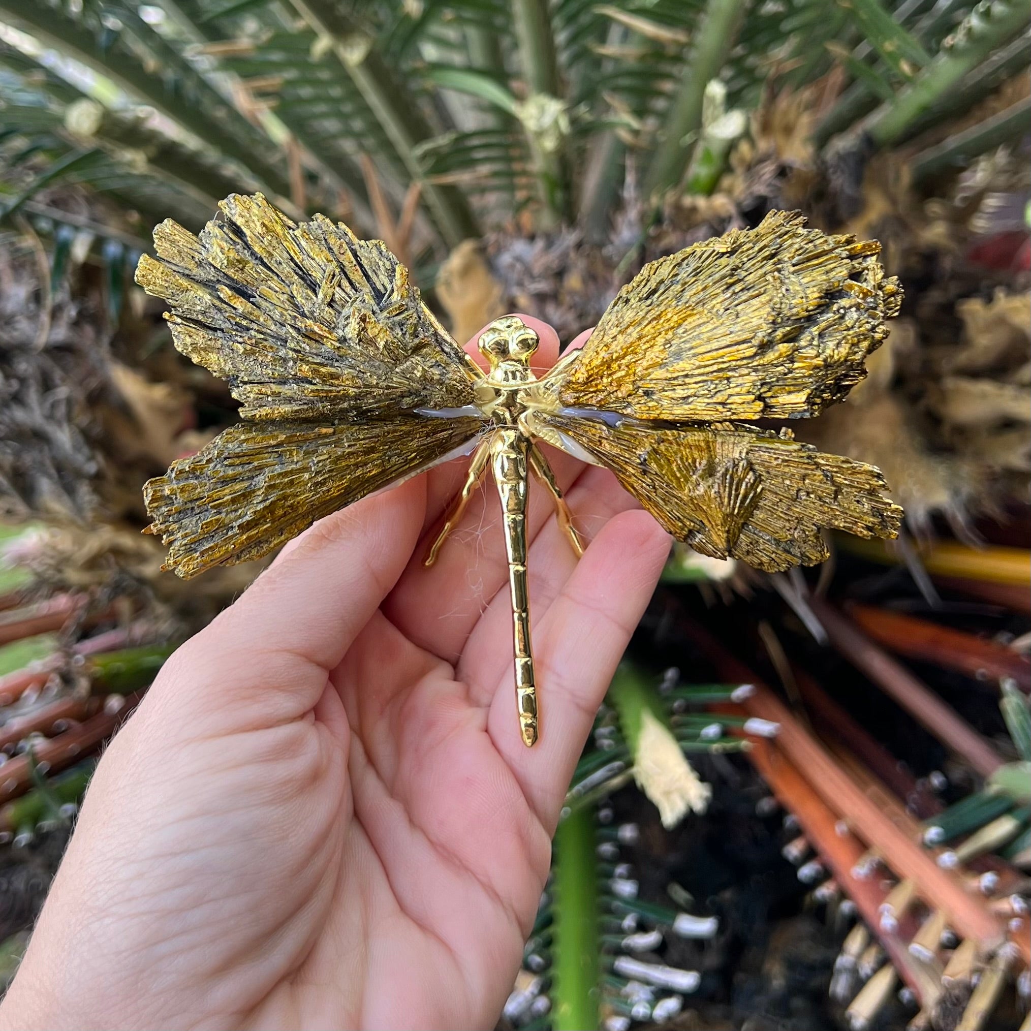 Dragonfly ~ Gold Kyanite Electroplate