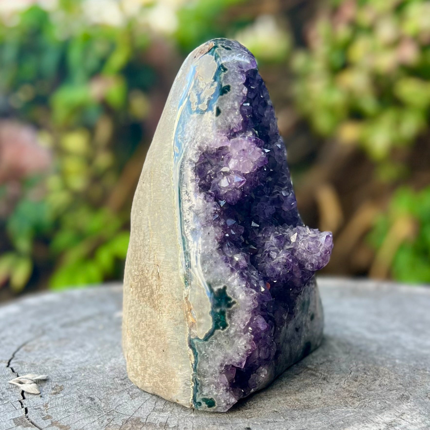 Raw Standing Amethyst Cluster