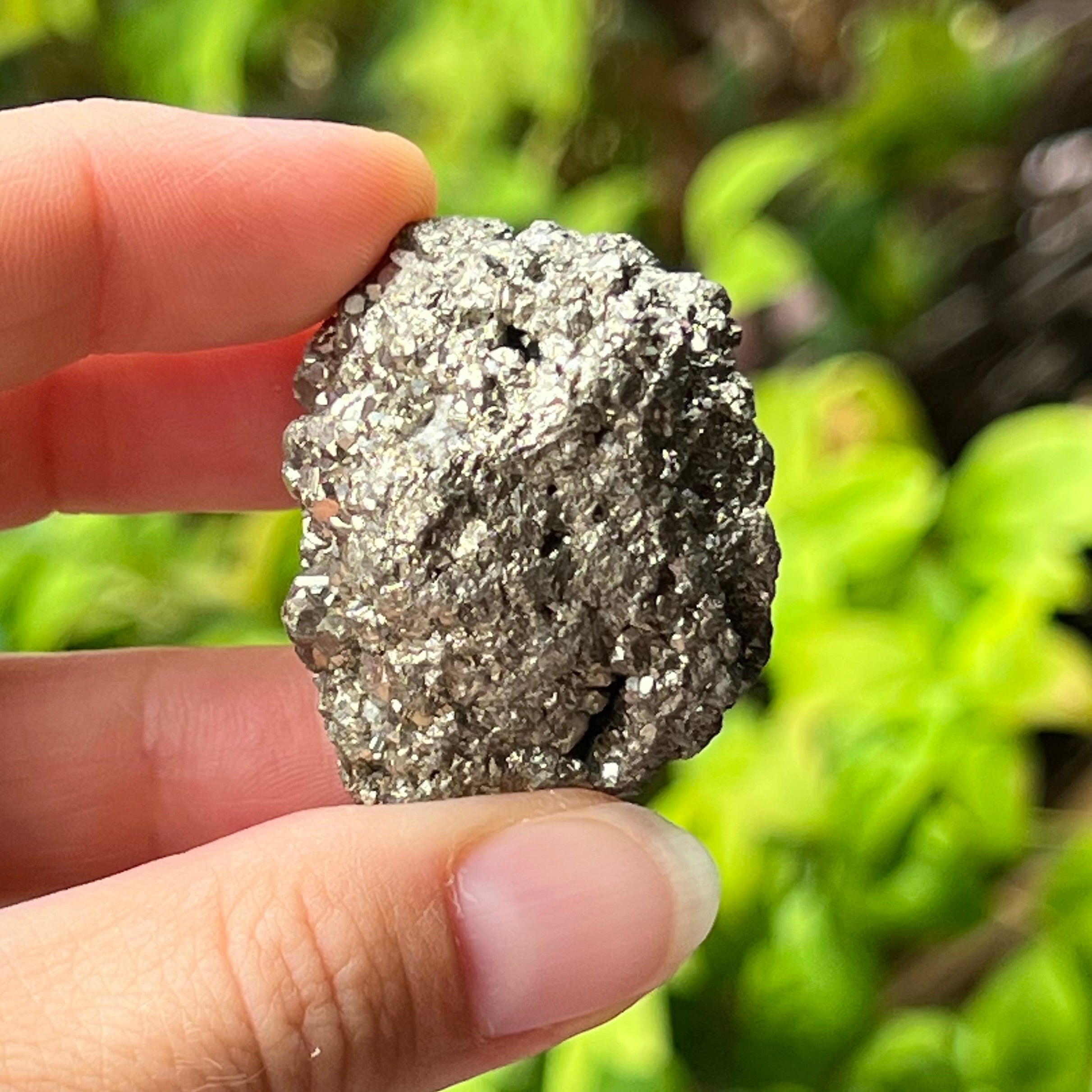 Pyrite Specimen ~ Specialty Boxed Crystal (2)